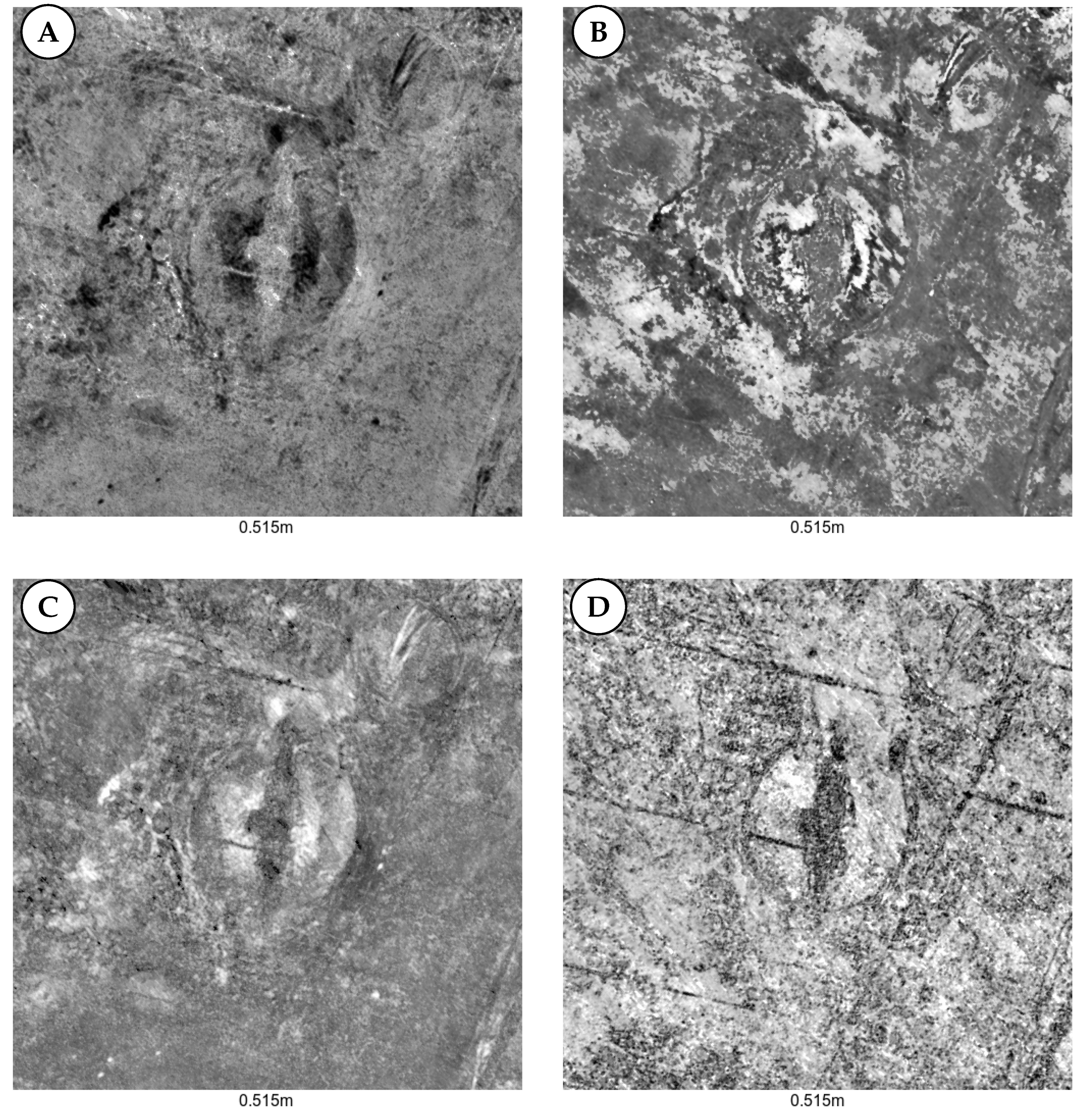 Remotesensing 12 01583 g008 Remotesensing 12 01583 g008