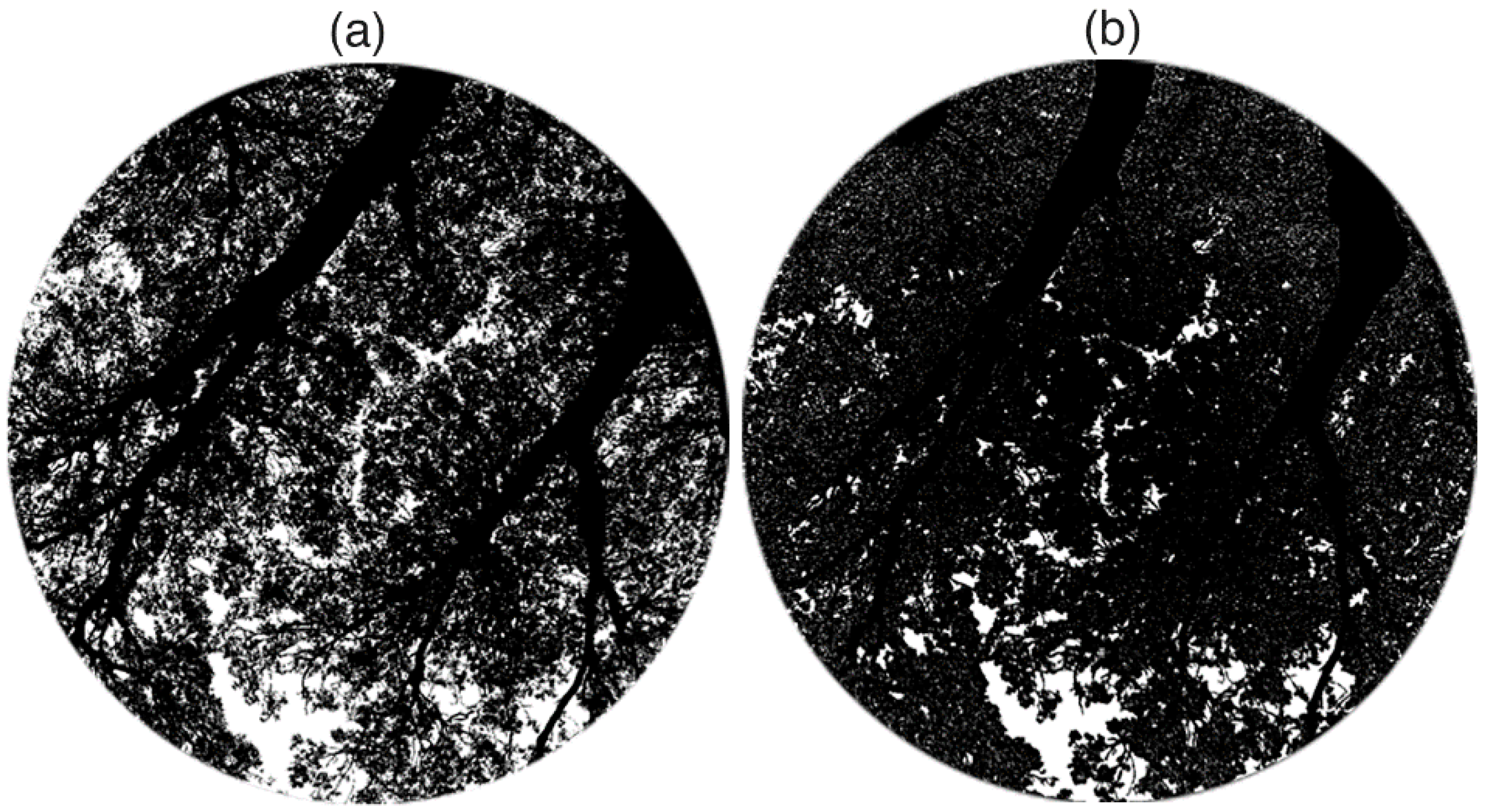 Remotesensing 12 01596 g006 Remotesensing 12 01596 g006