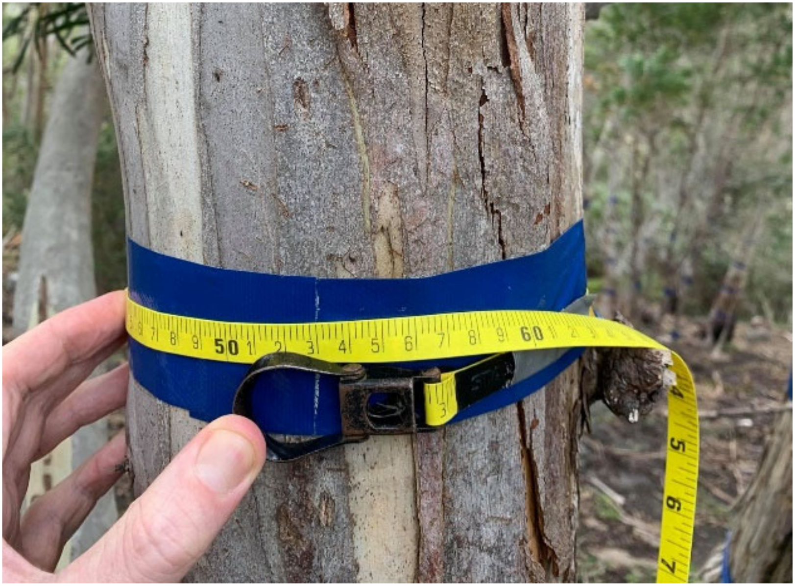 Remotesensing 12 01652 g005