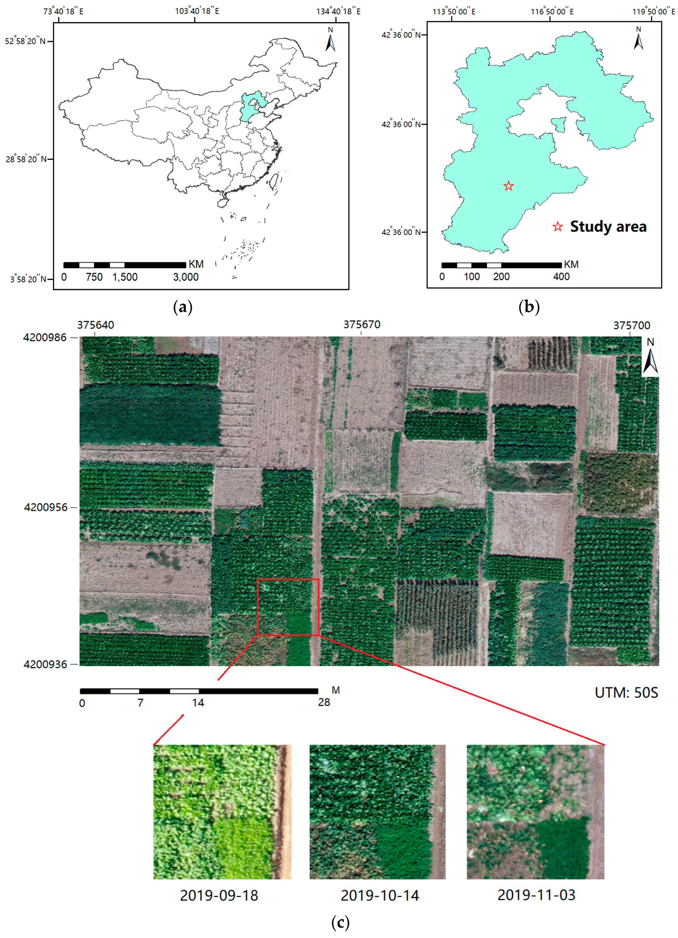 Remotesensing 12 01668 g001