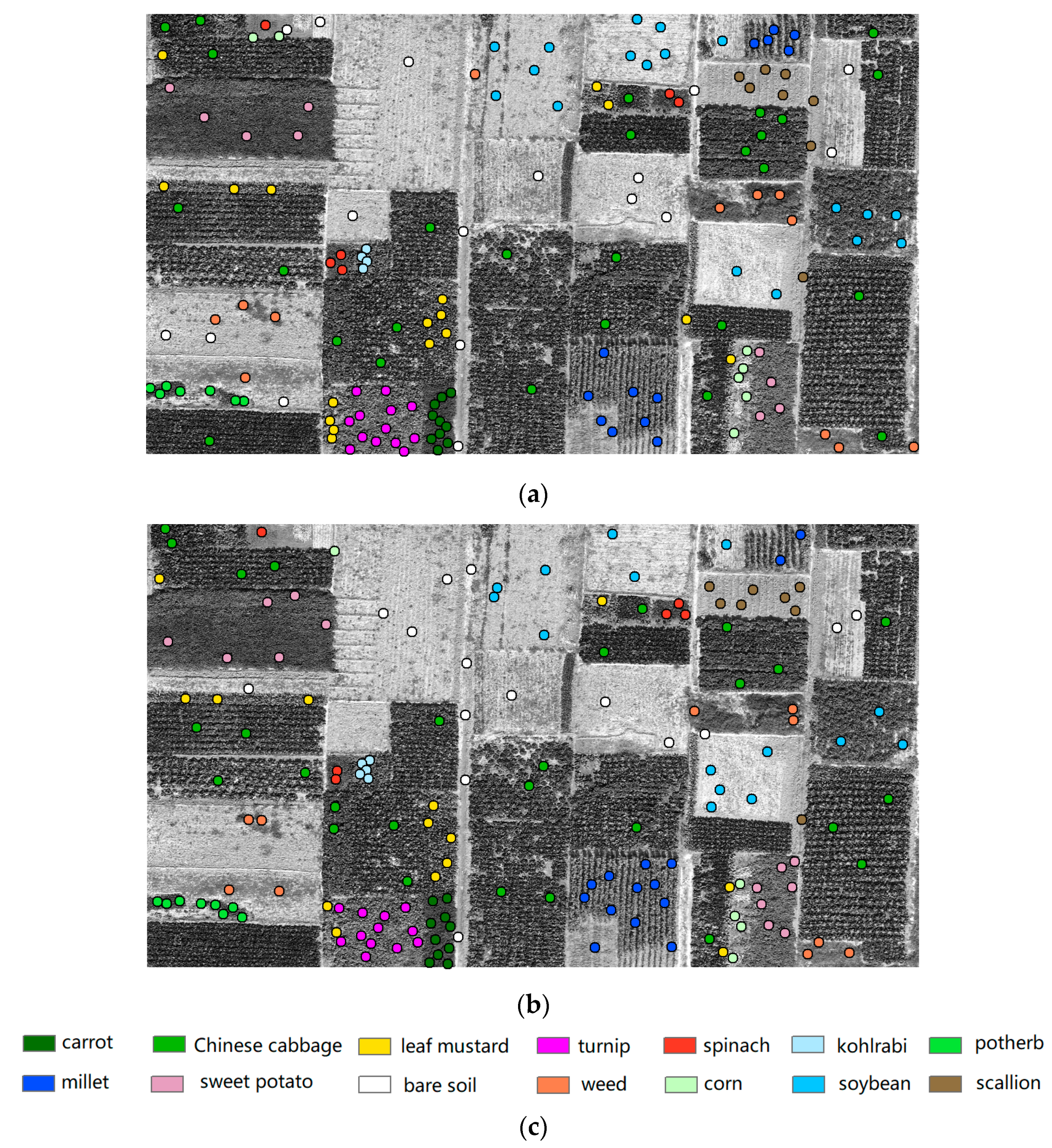 Remotesensing 12 01668 g002