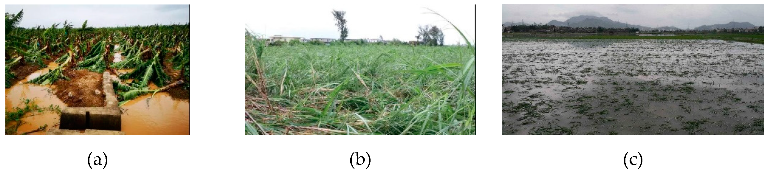 Remotesensing 12 01692 g001 Remotesensing 12 01692 g001