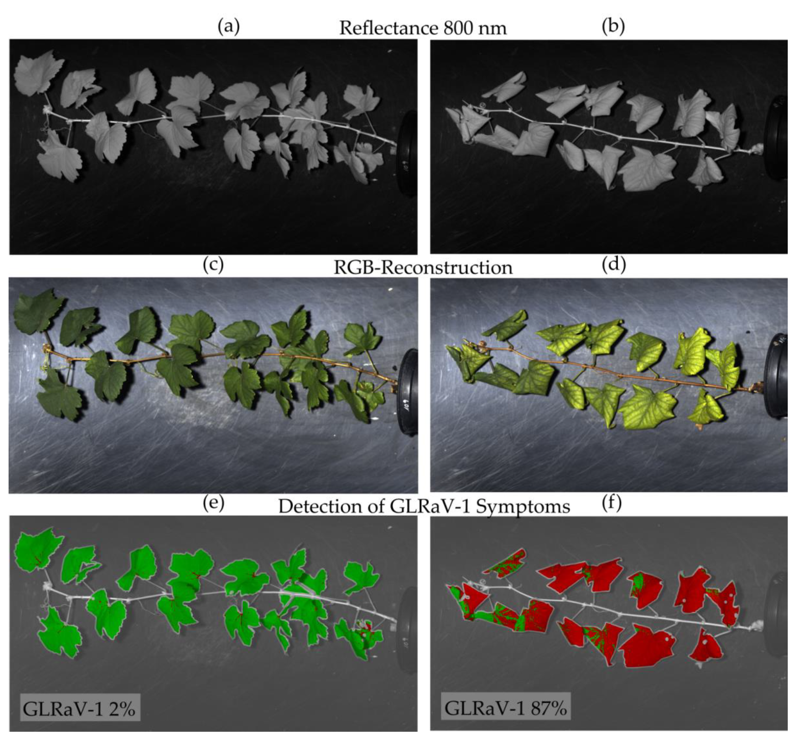 Remotesensing 12 01693 g002