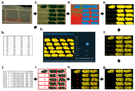 GRID: A Python Package for Field Plot Phenotyping Using Aerial Images