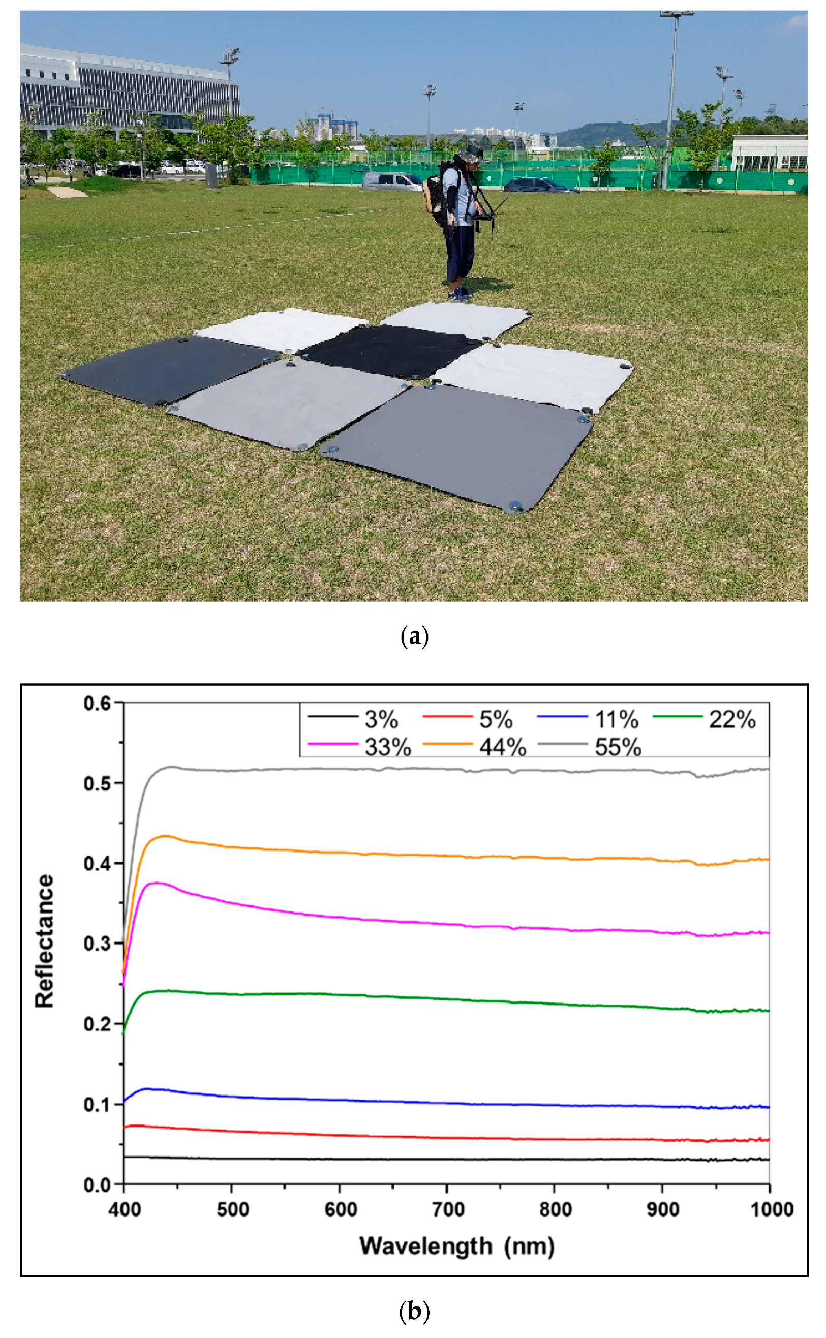 Remotesensing 12 01726 g003