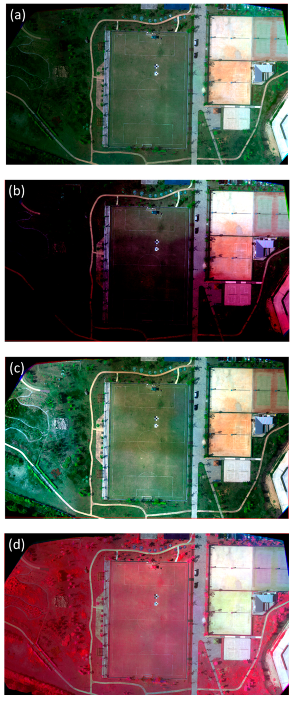 Remotesensing 12 01726 g013a