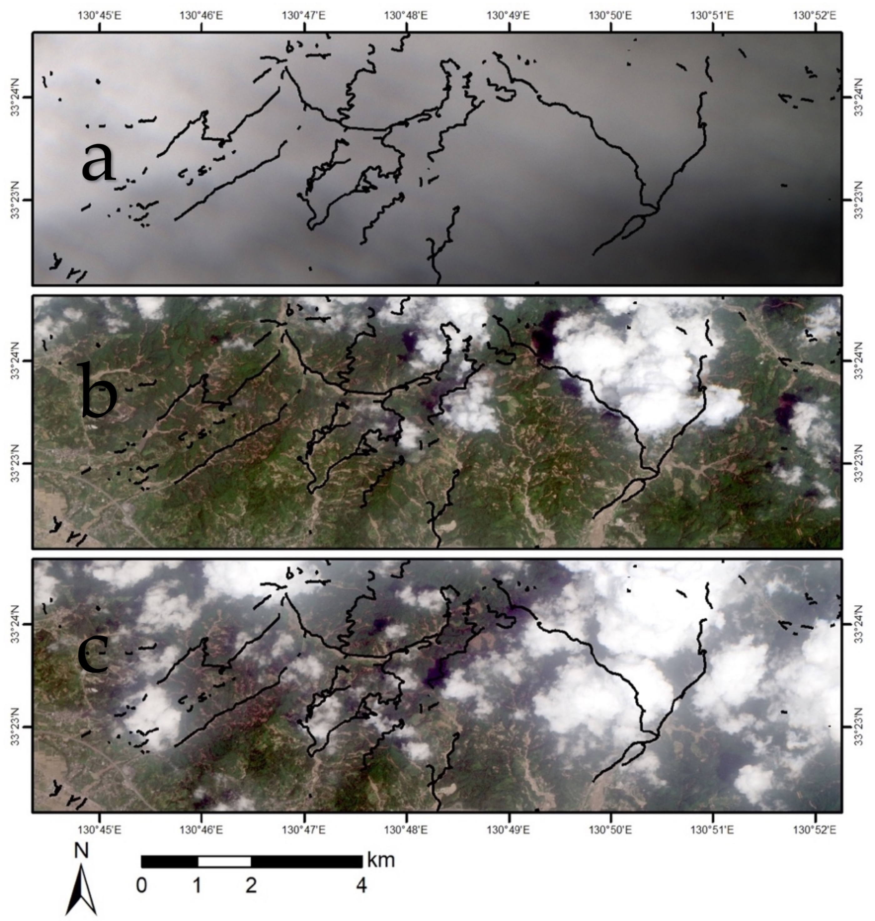 Remotesensing 12 01734 g011