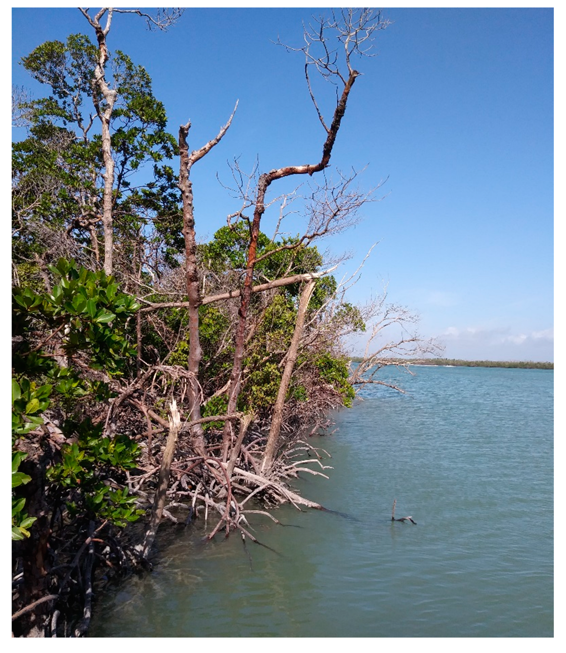 Remotesensing 12 01740 g002 Remotesensing 12 01740 g002