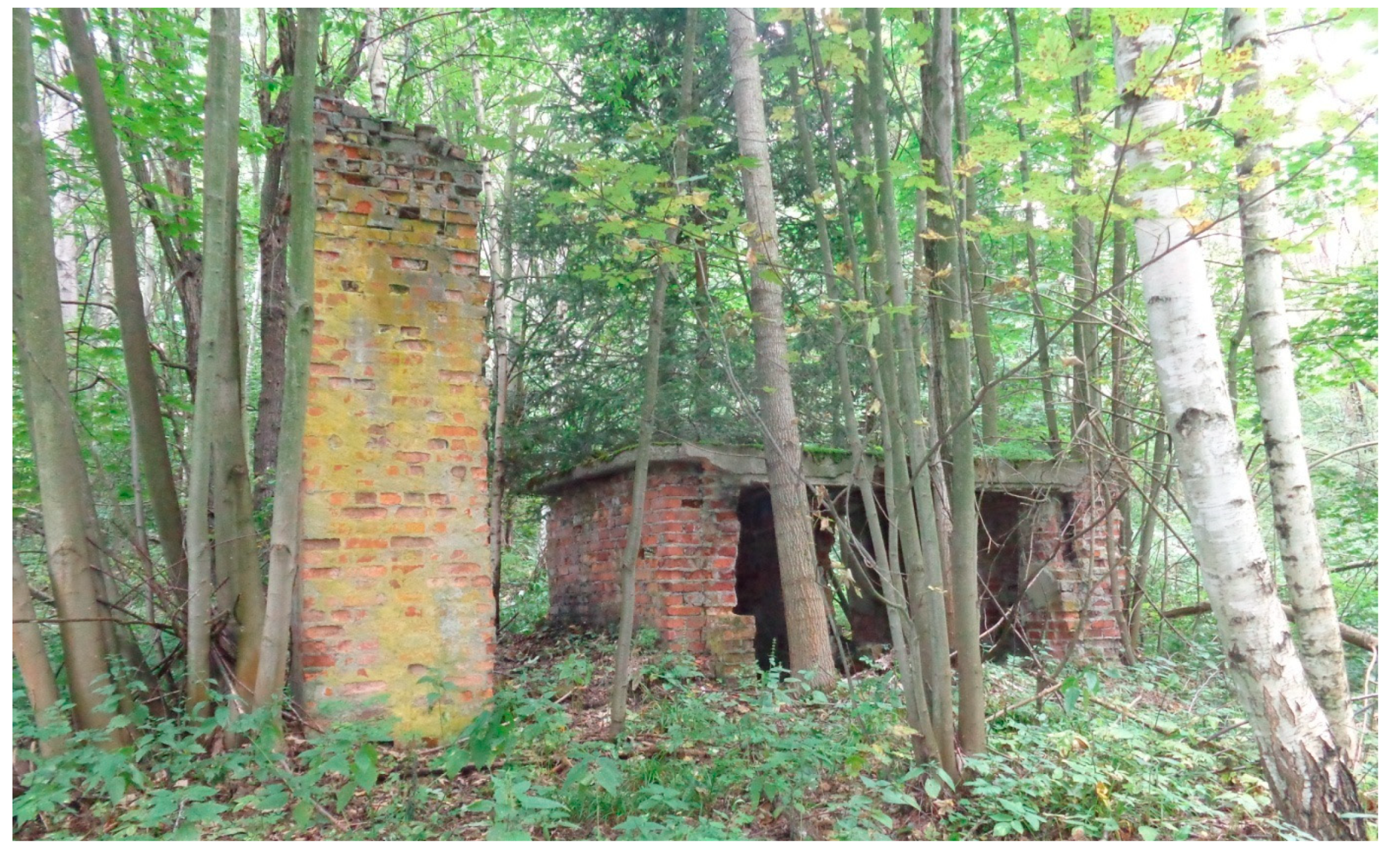 Remotesensing 12 01802 g004 Remotesensing 12 01802 g004