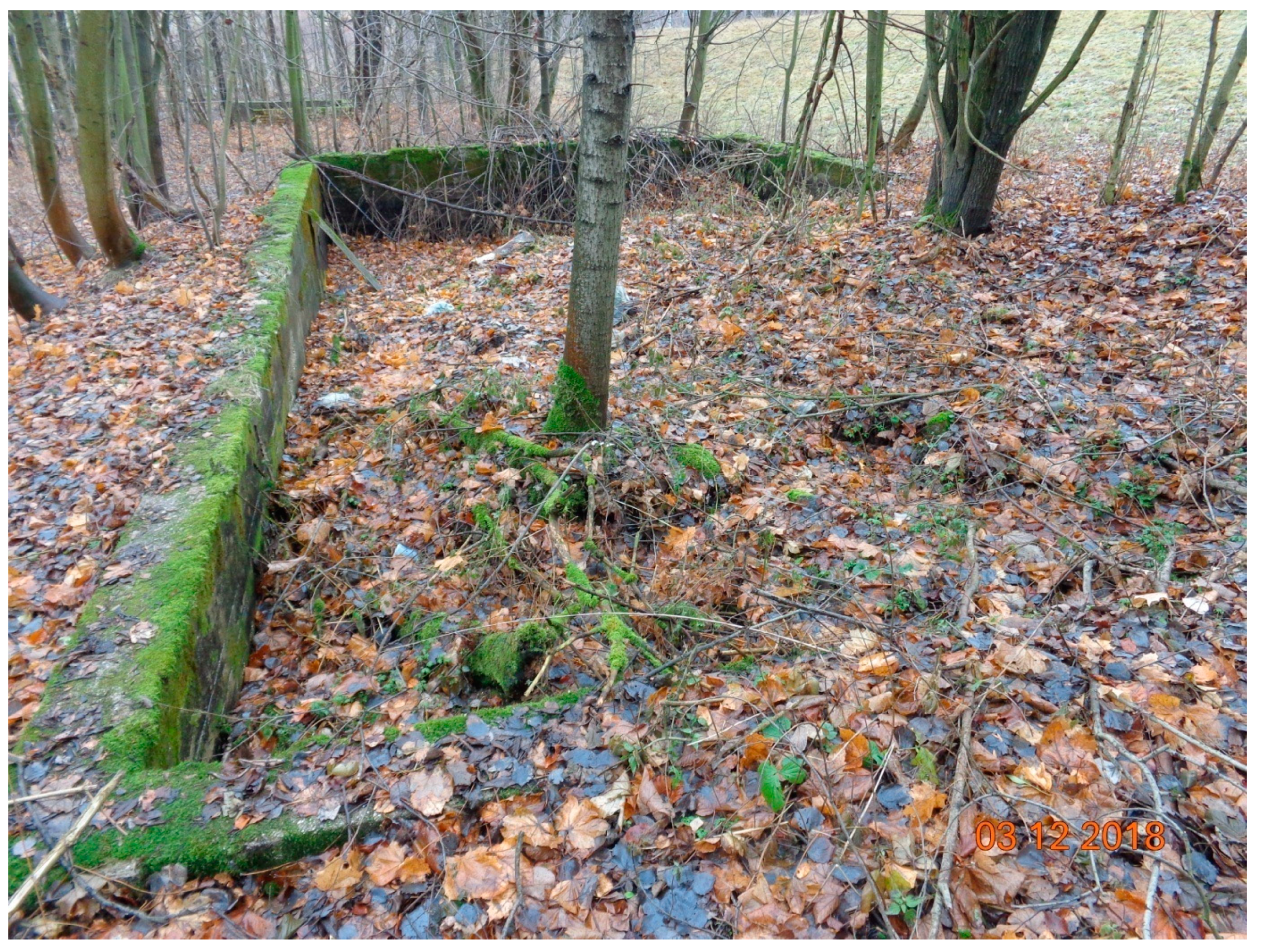 Remotesensing 12 01802 g005 Remotesensing 12 01802 g005