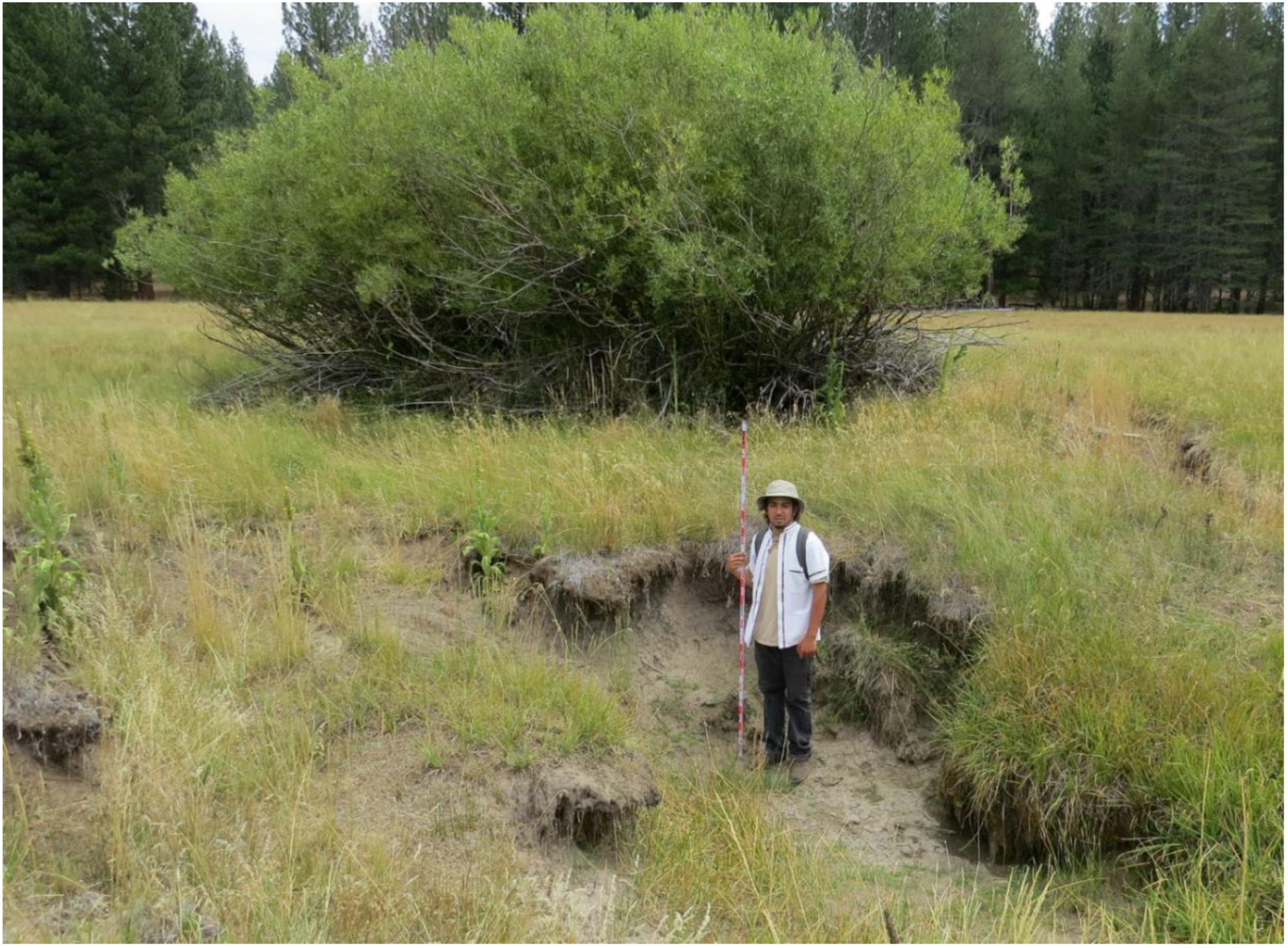 Remotesensing 12 01828 g002