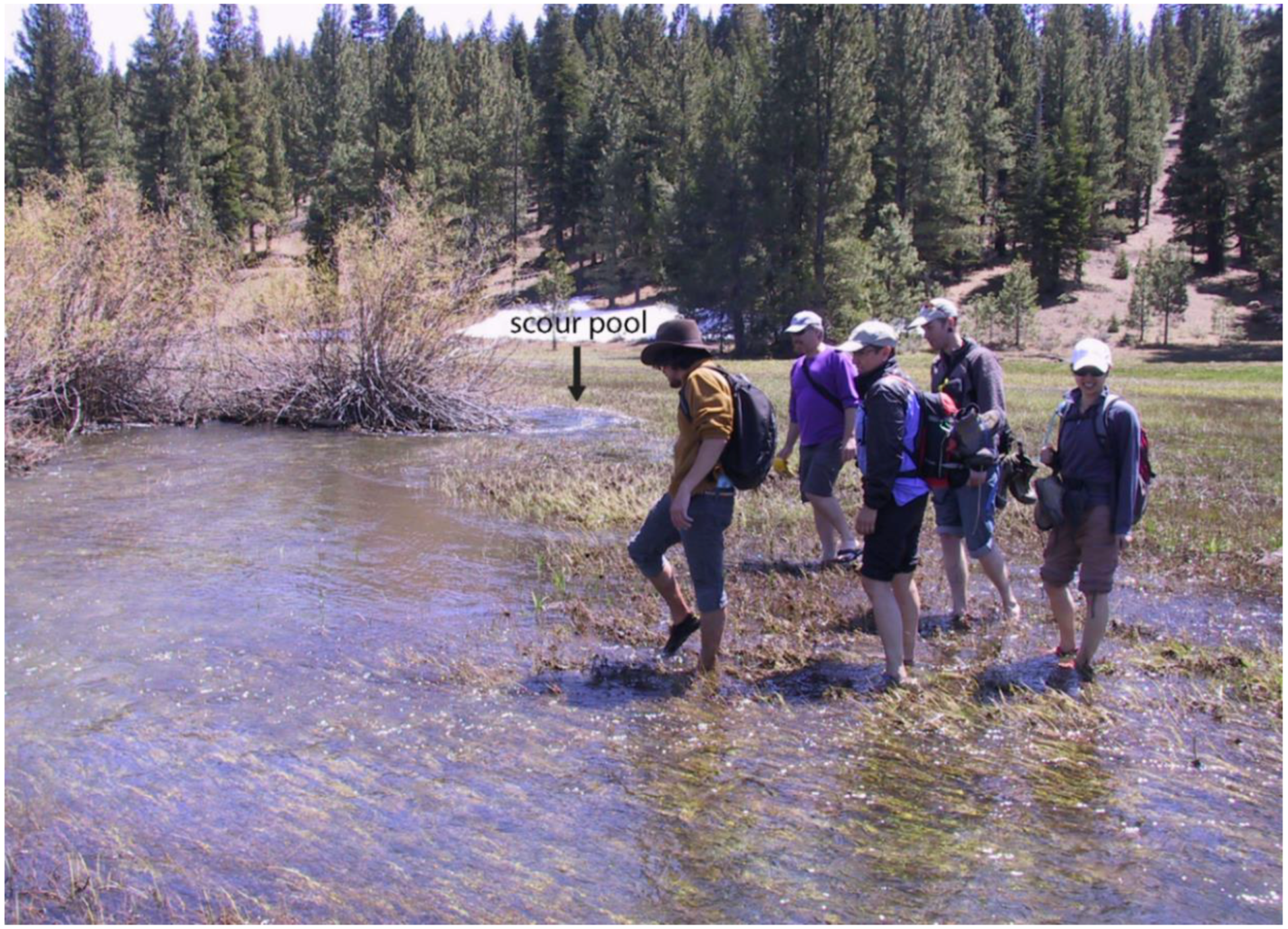 Remotesensing 12 01828 g003