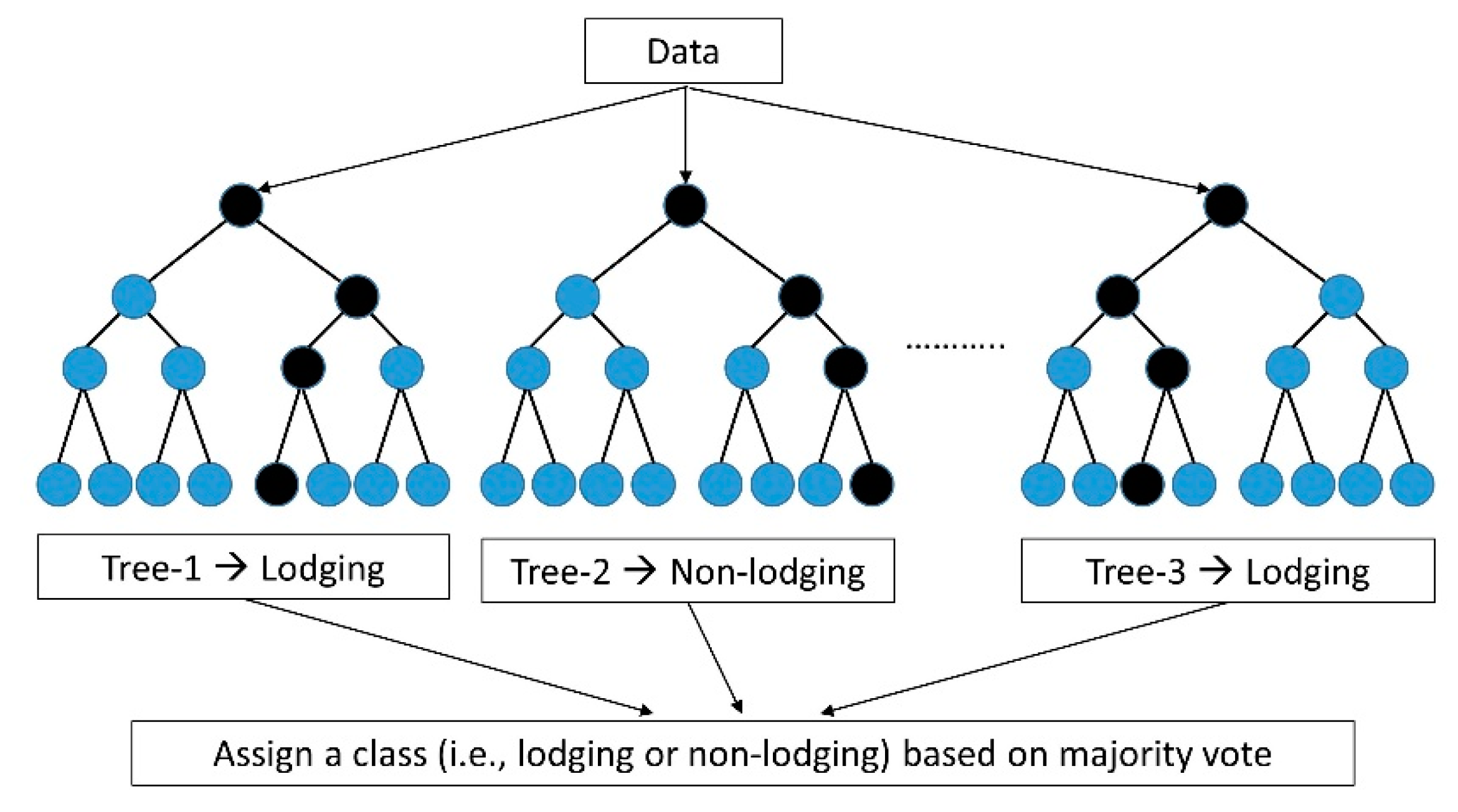 Remote Sensing | Free Full-Text | Wheat Lodging Detection from UAS ...