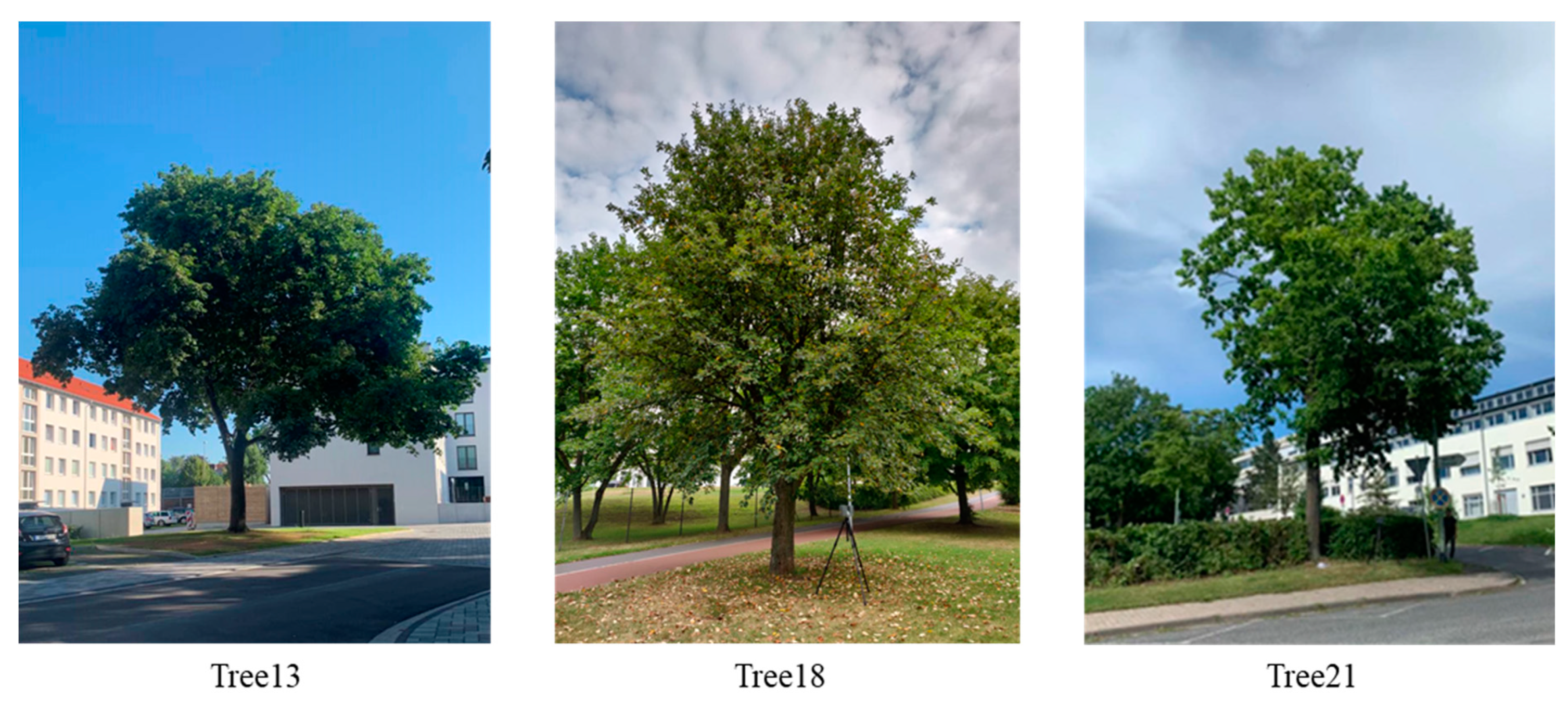 Remotesensing 12 01841 g002 Remotesensing 12 01841 g002