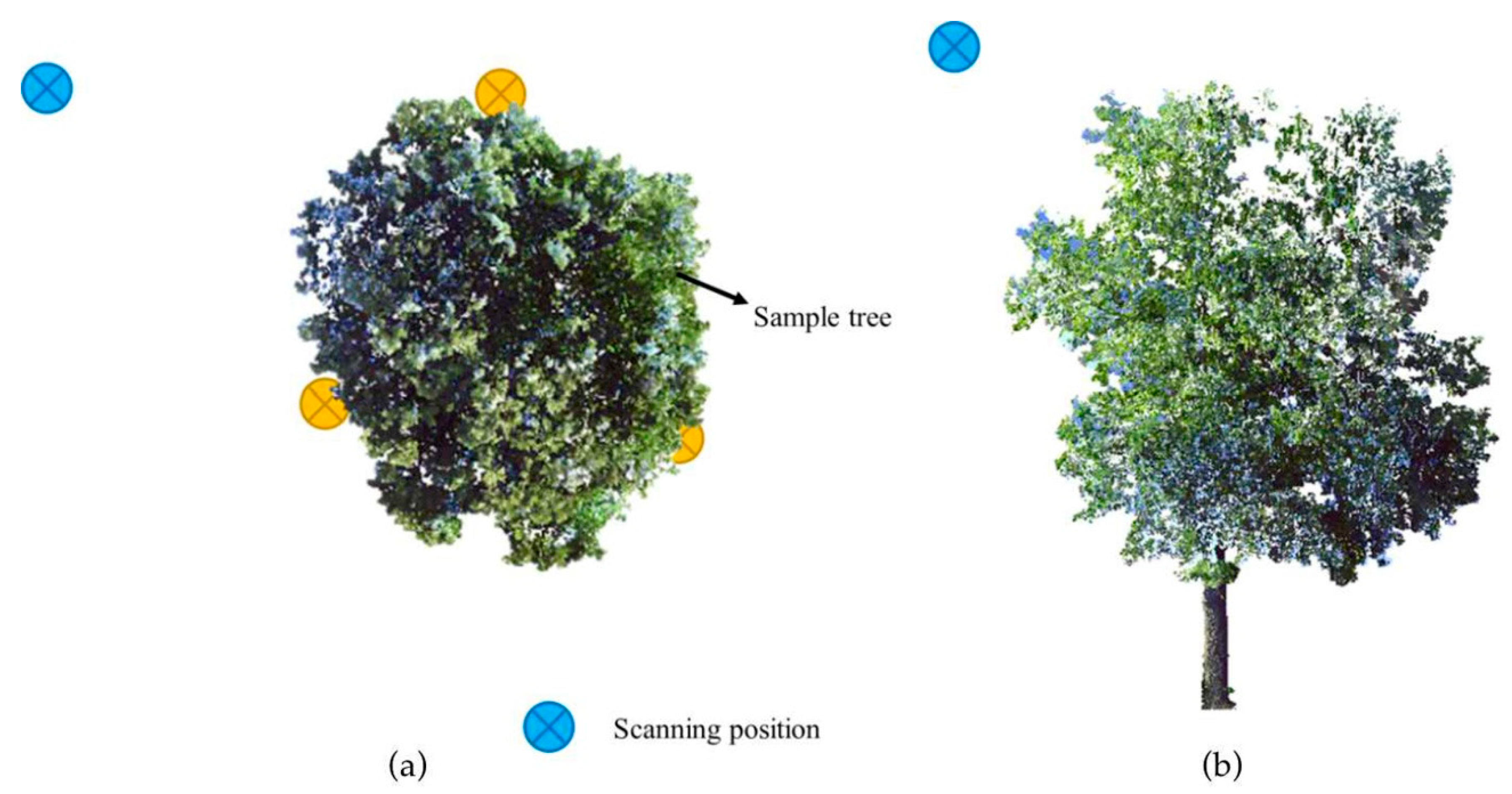 Remotesensing 12 01841 g004 Remotesensing 12 01841 g004