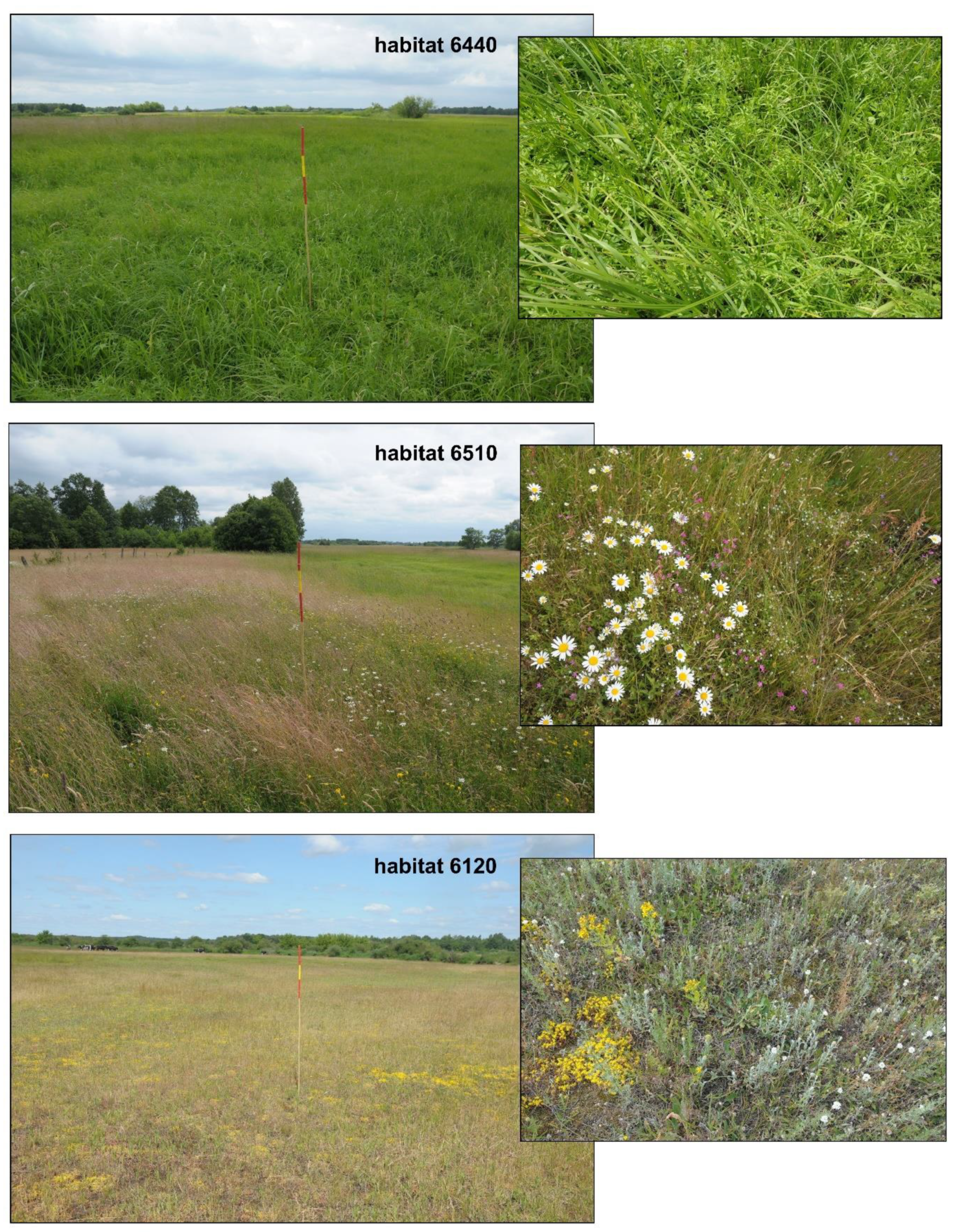 Remotesensing 12 01842 g003 Remotesensing 12 01842 g003