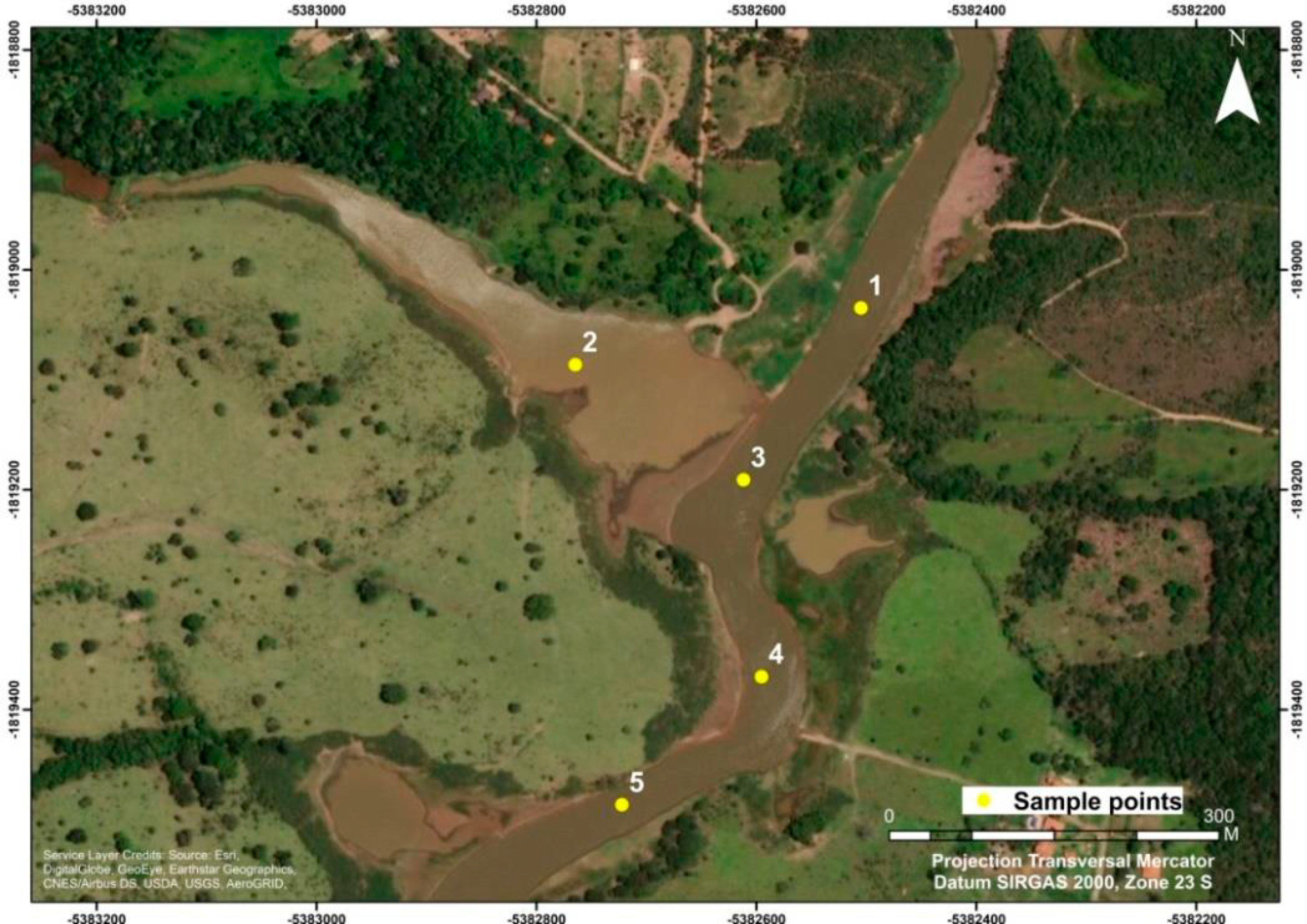 Remotesensing 12 01855 g004