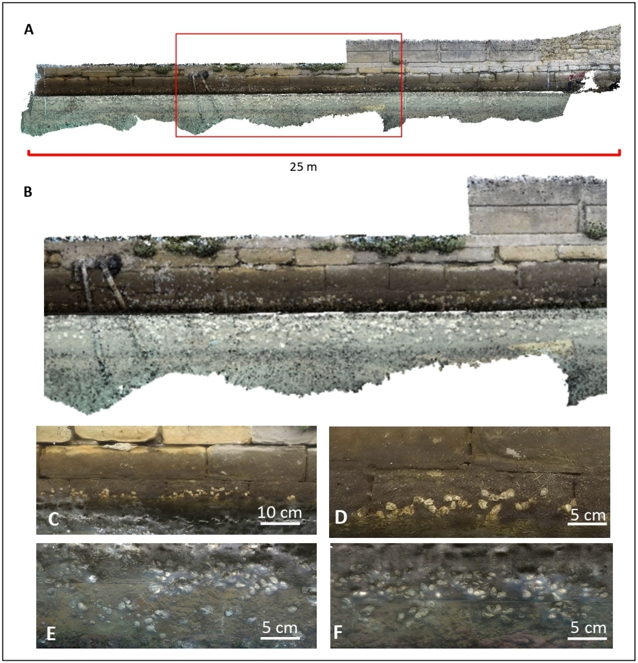 Remotesensing 12 01880 g010 Remotesensing 12 01880 g010
