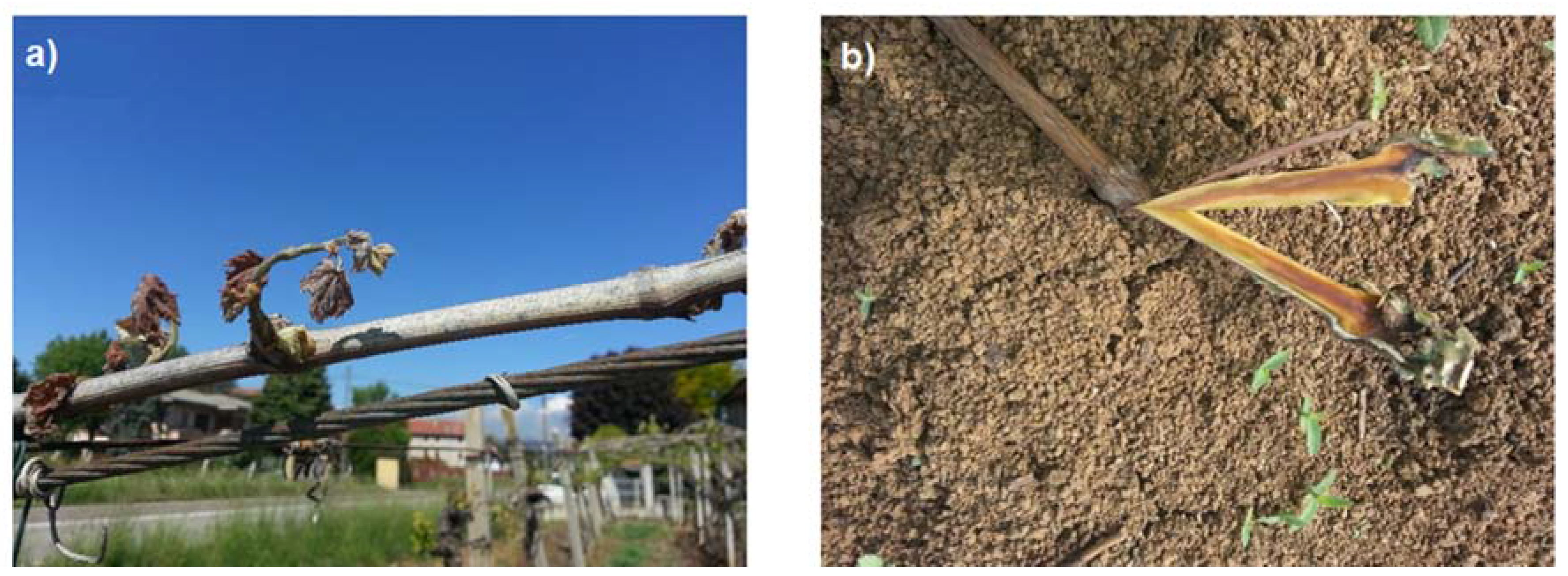 Remotesensing 12 01896 g003