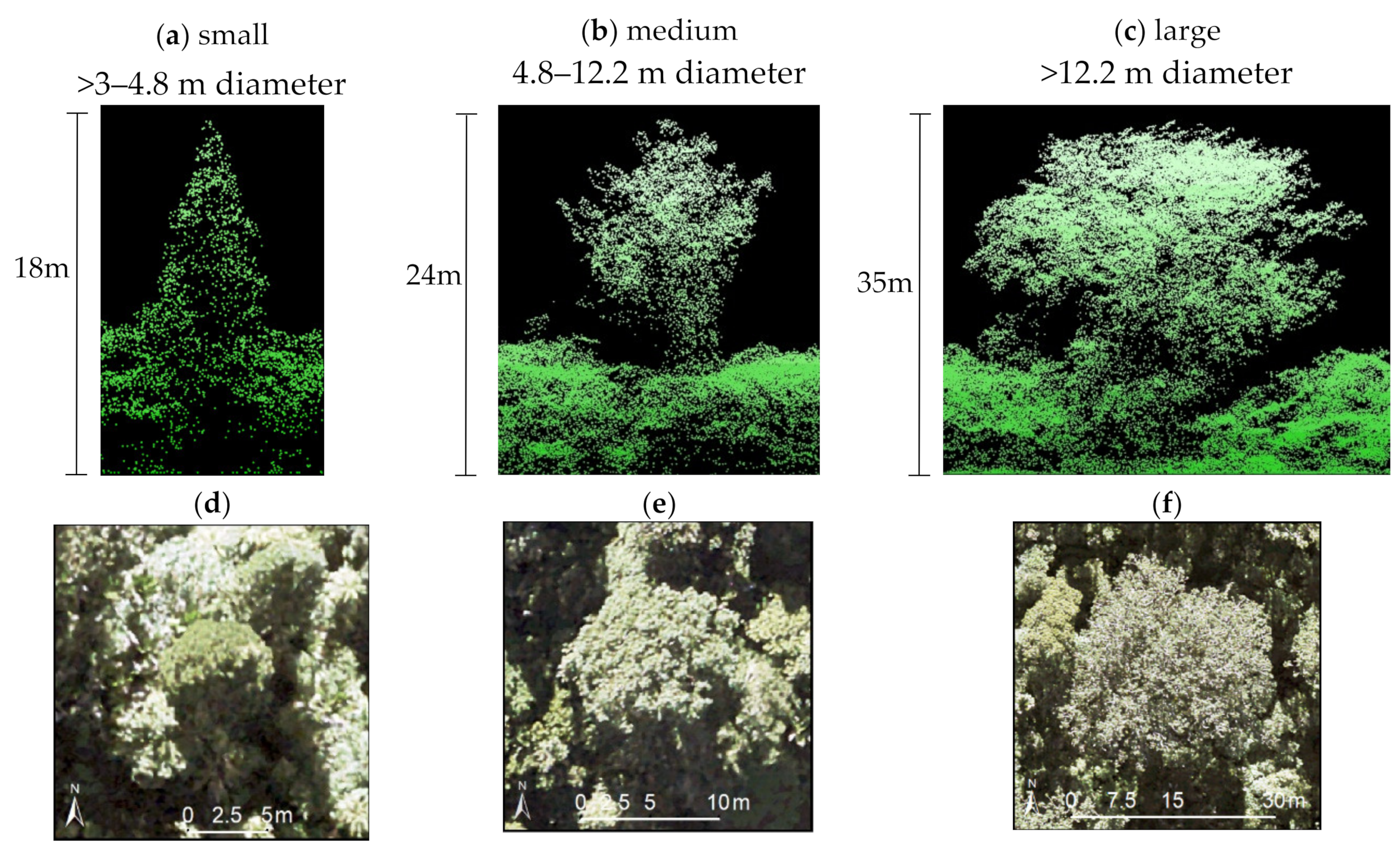 Remotesensing 12 01906 g001 Remotesensing 12 01906 g001