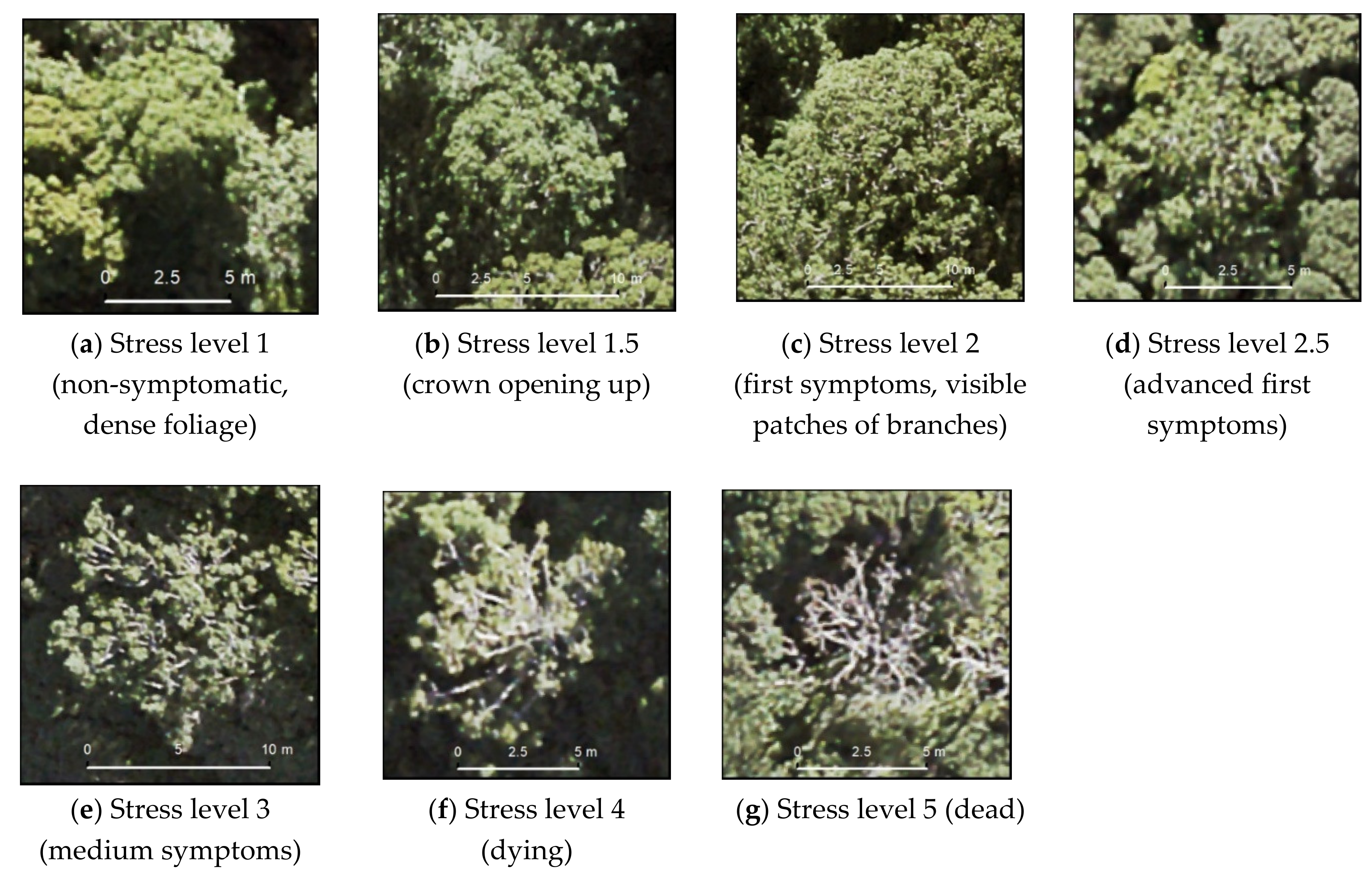 Remotesensing 12 01906 g004 Remotesensing 12 01906 g004