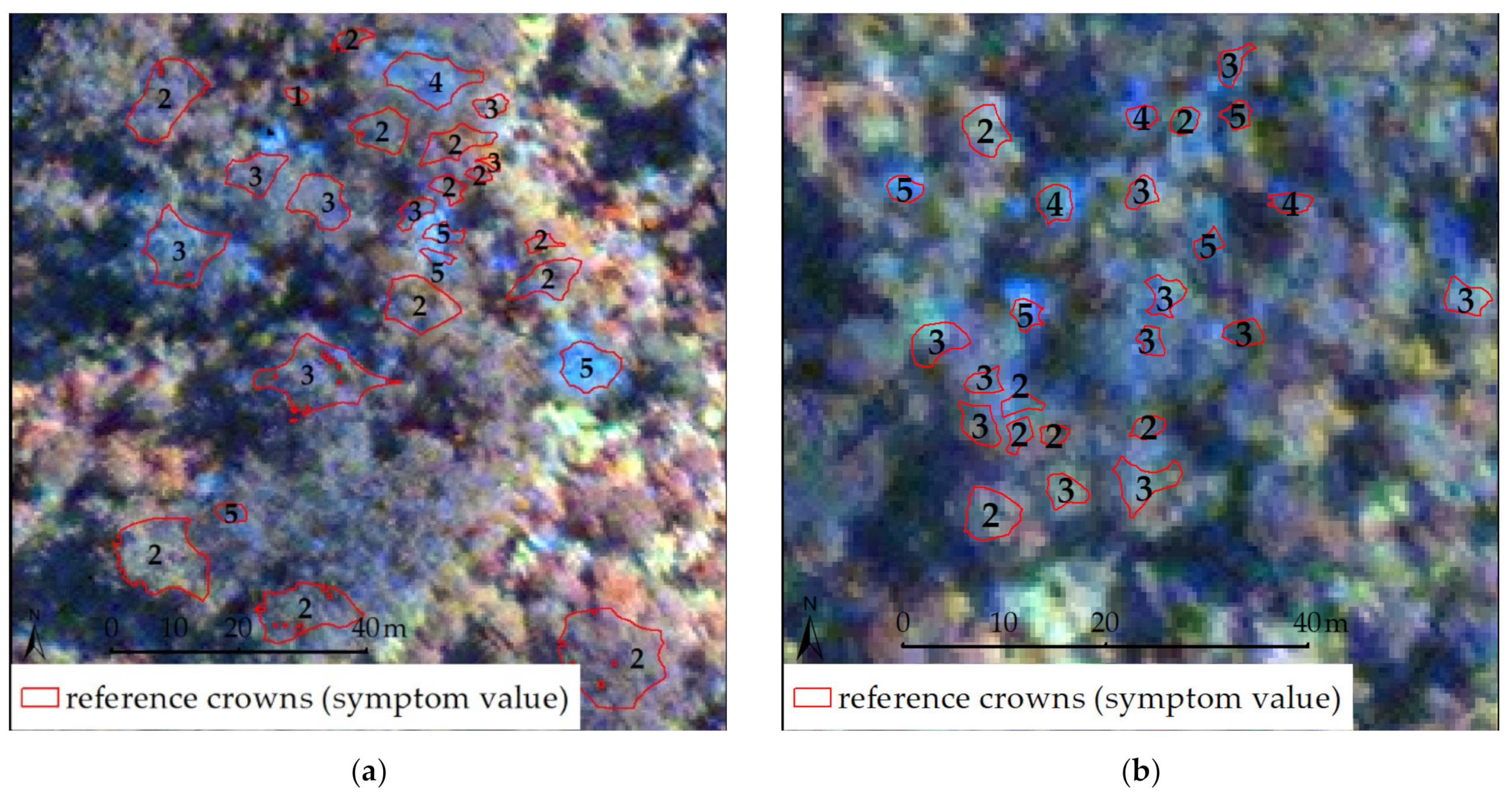 Remotesensing 12 01906 g005 Remotesensing 12 01906 g005