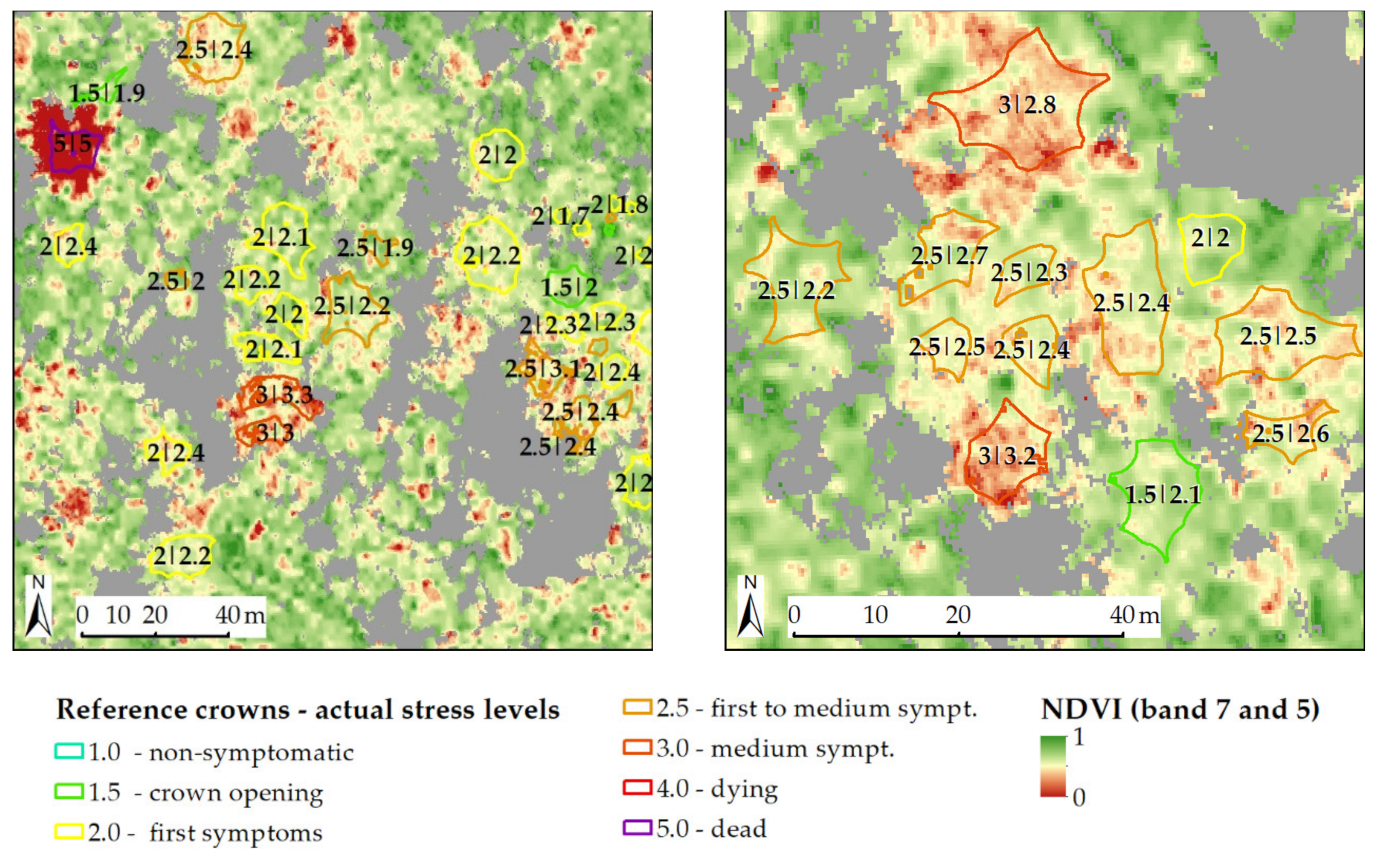 Remotesensing 12 01906 g011 Remotesensing 12 01906 g011