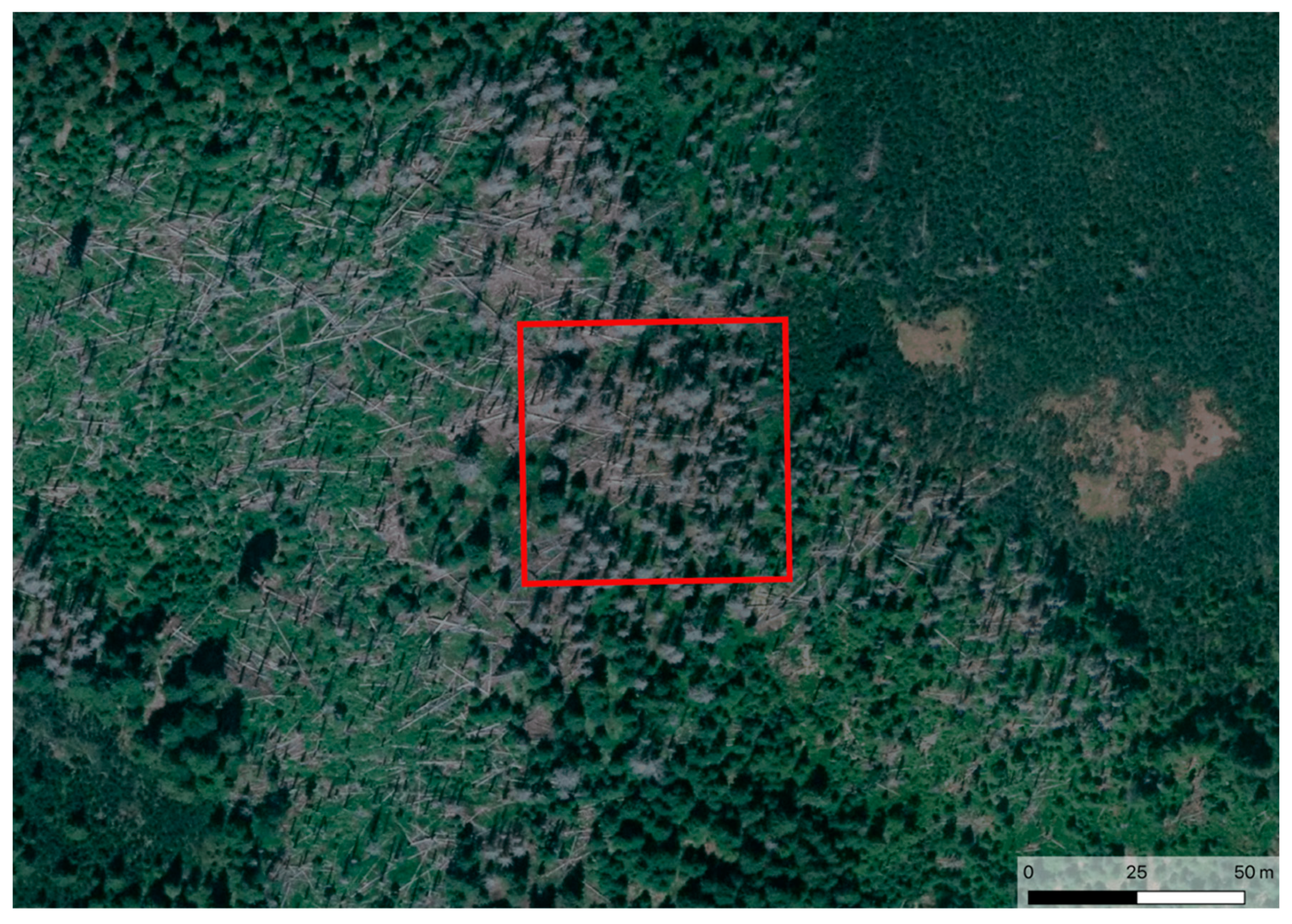 Remotesensing 12 01914 g002