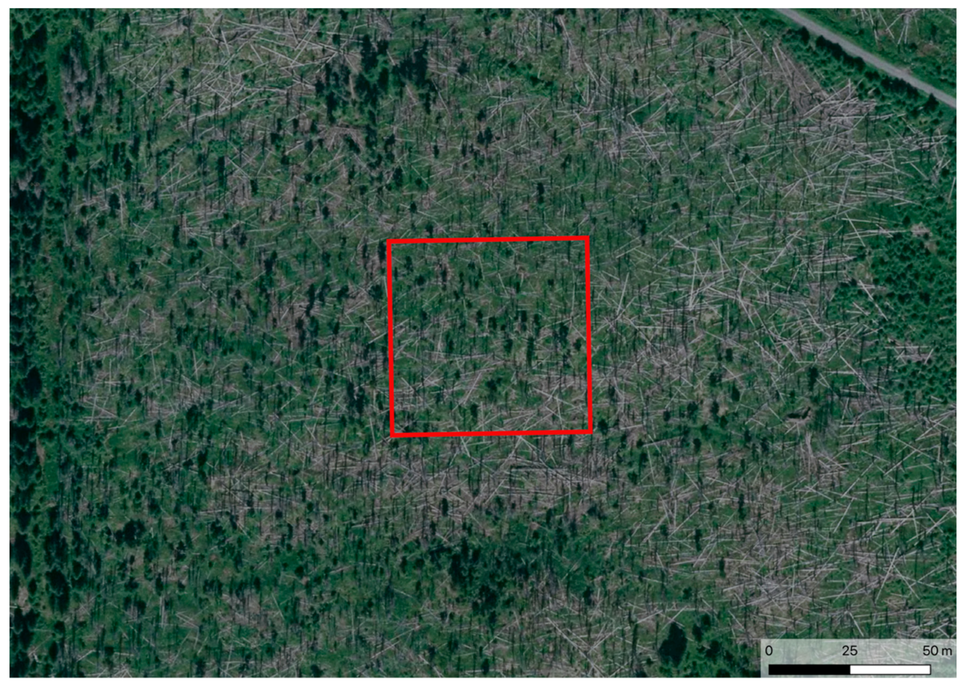 Remotesensing 12 01914 g003