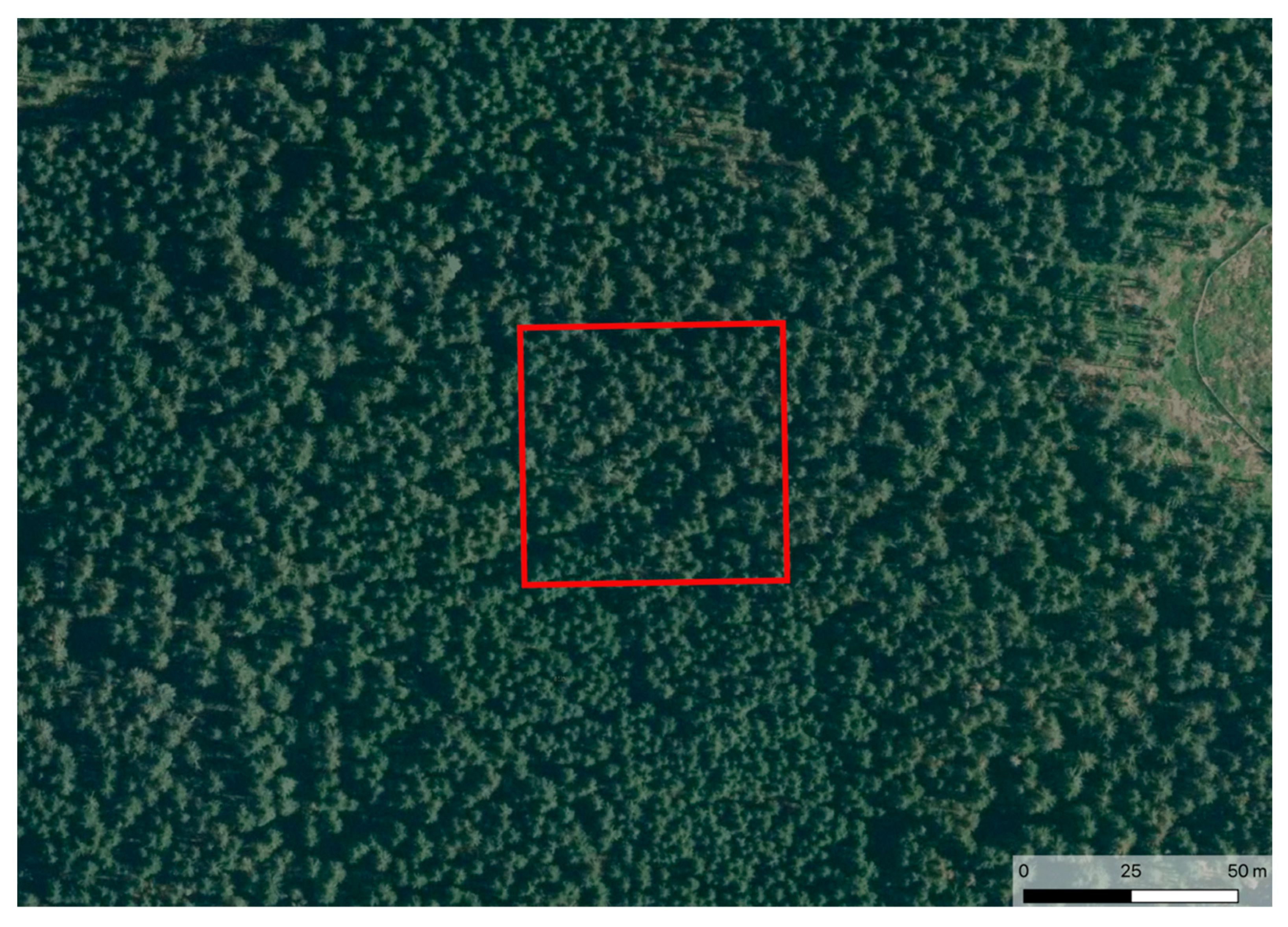 Remotesensing 12 01914 g004