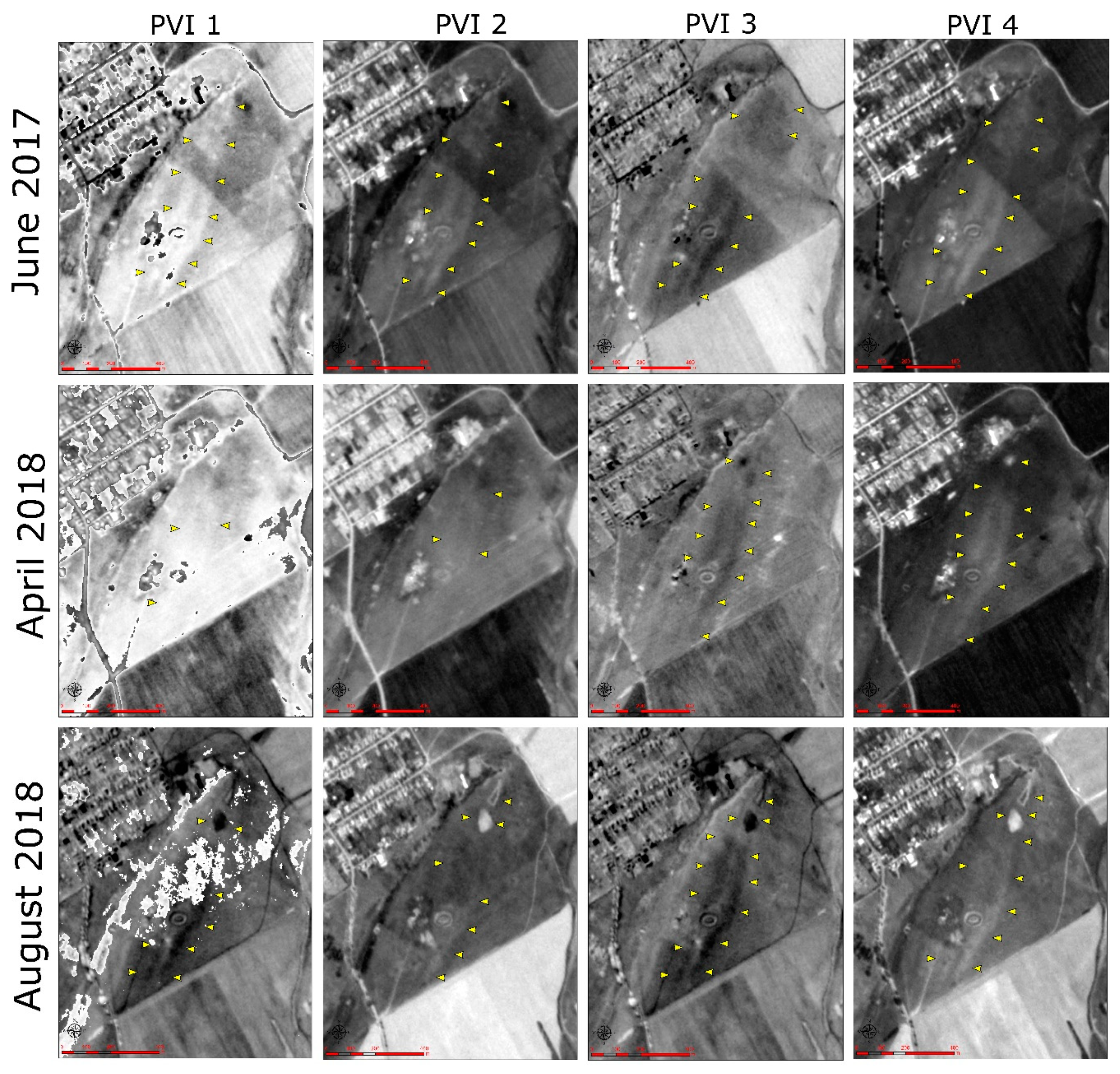 Remotesensing 12 01975 g005