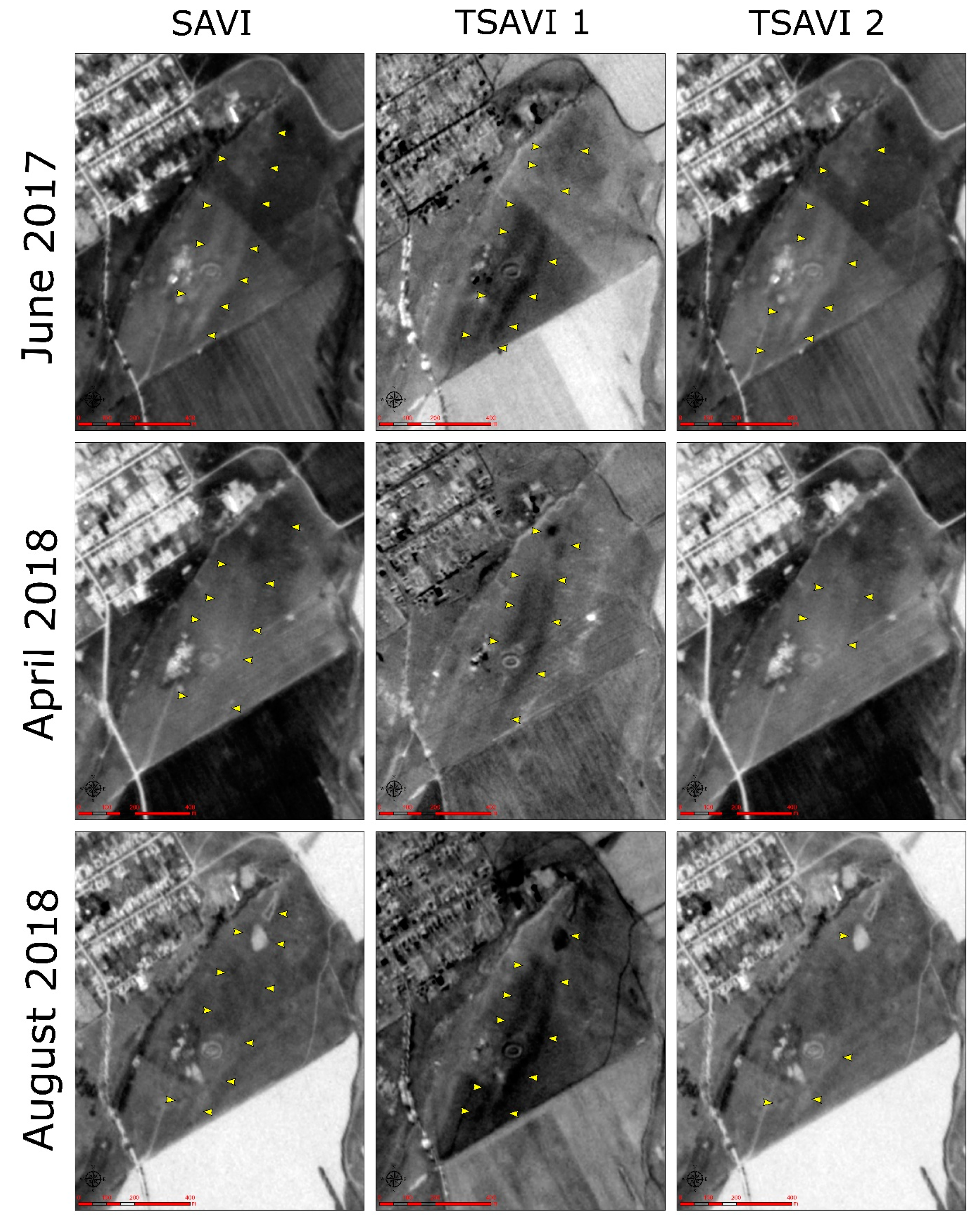 Remotesensing 12 01975 g006