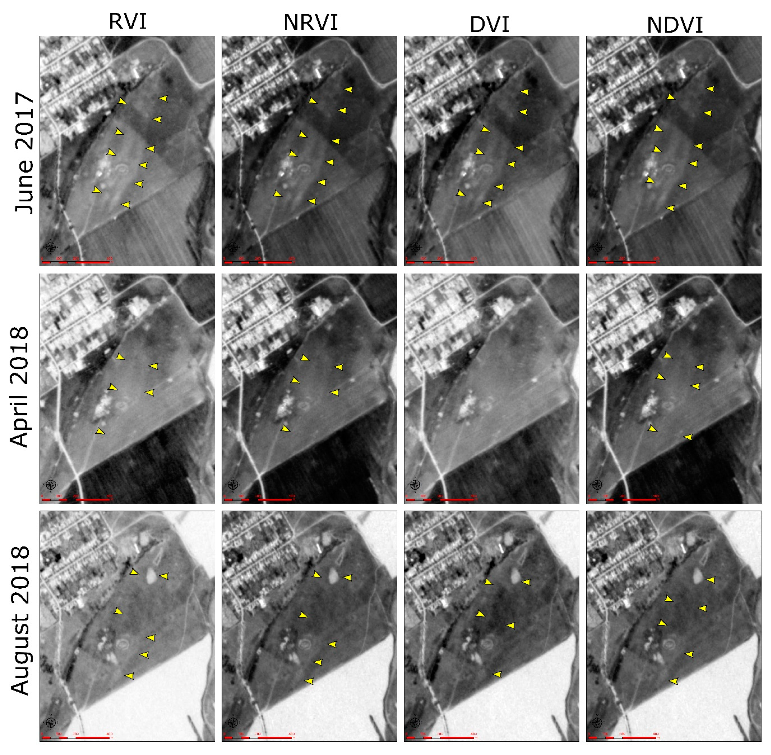 Remotesensing 12 01975 g007