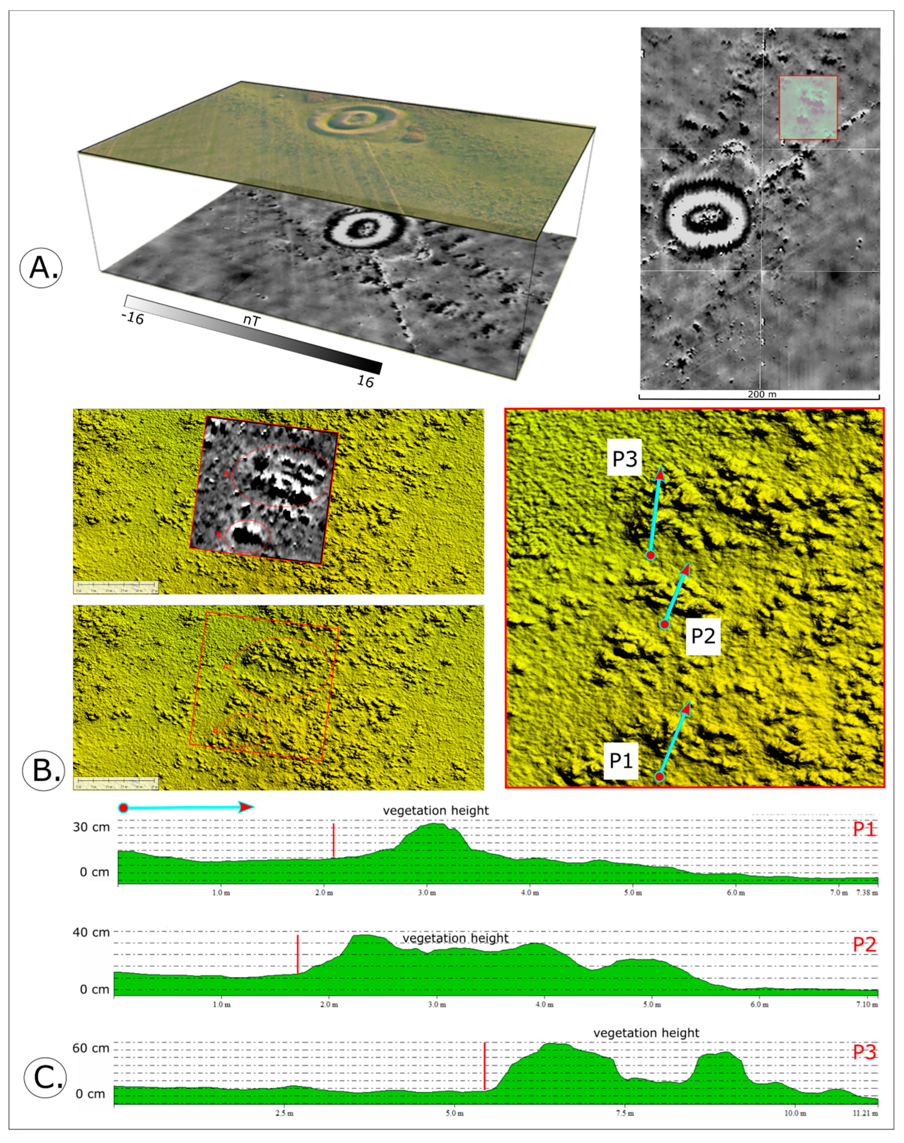 Remotesensing 12 01975 g009