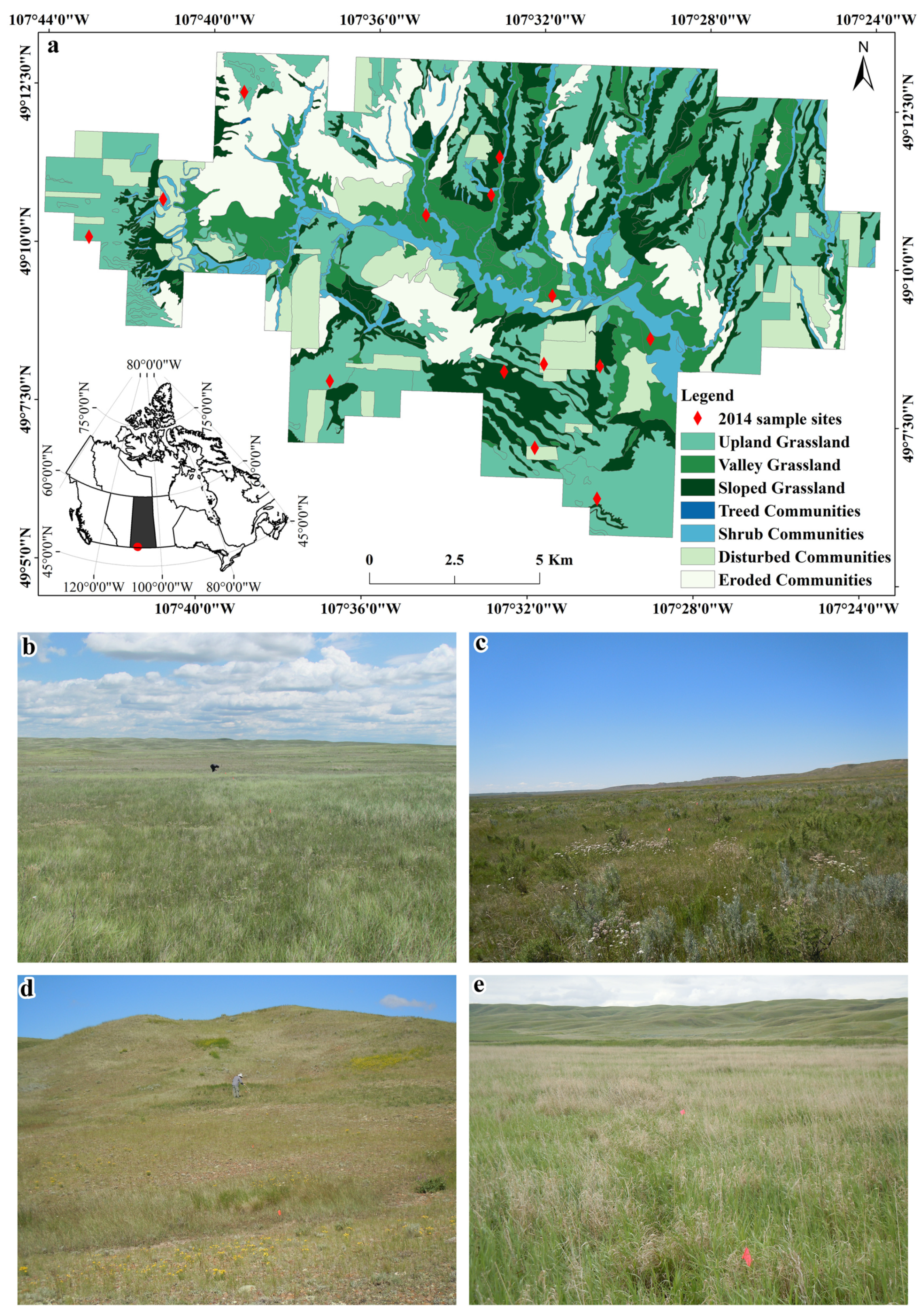 Remotesensing 12 01979 g001