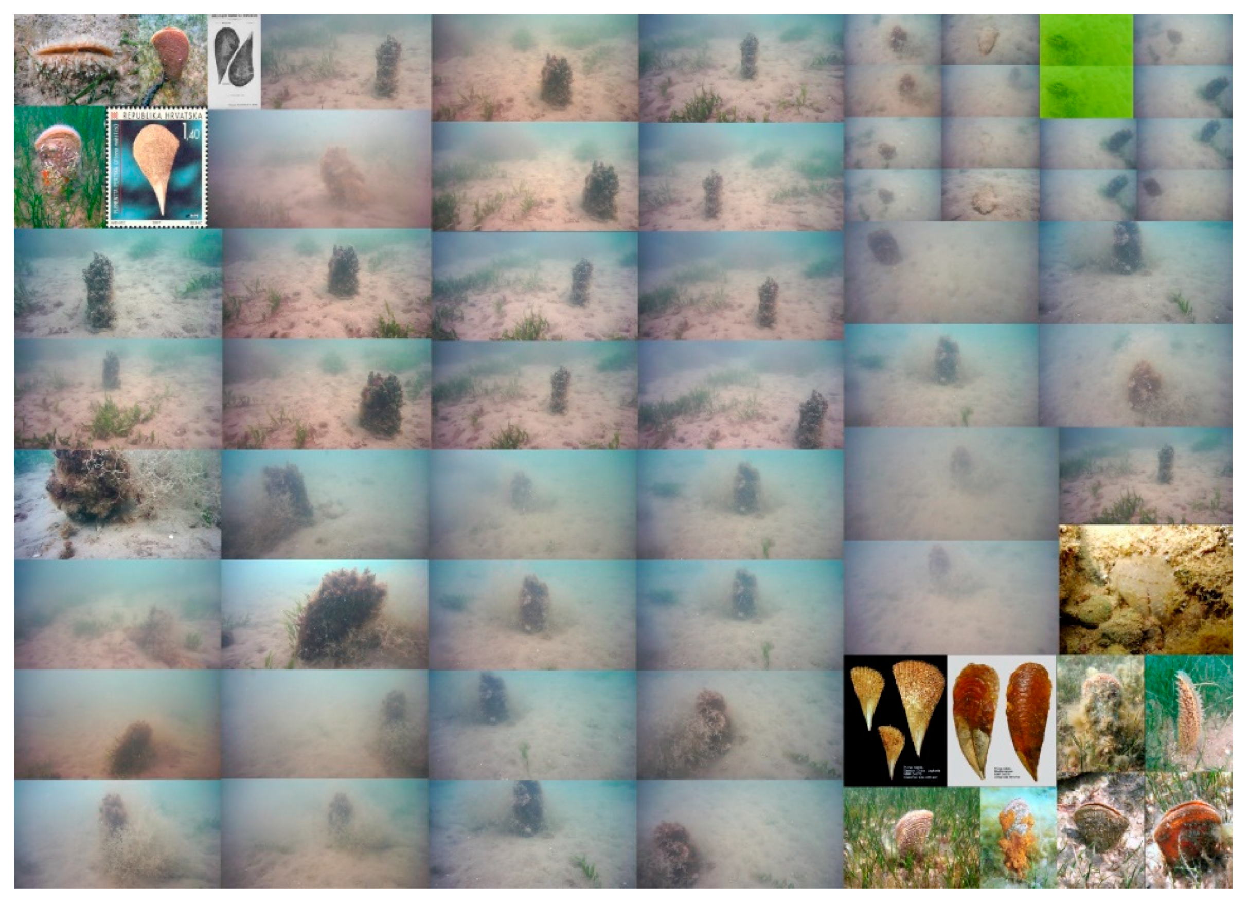 Remotesensing 12 01981 g006 Remotesensing 12 01981 g006