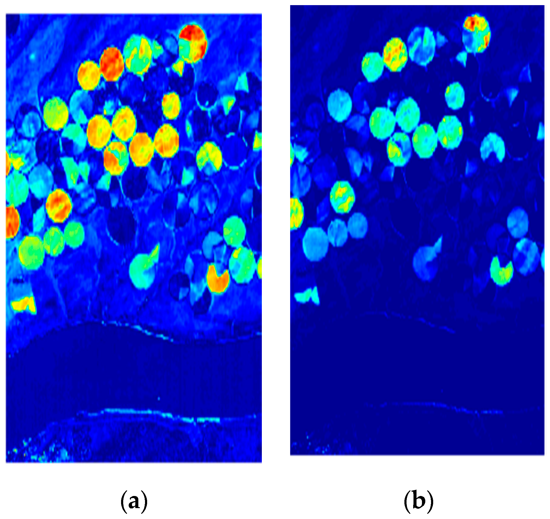 Remotesensing 12 02010 g008