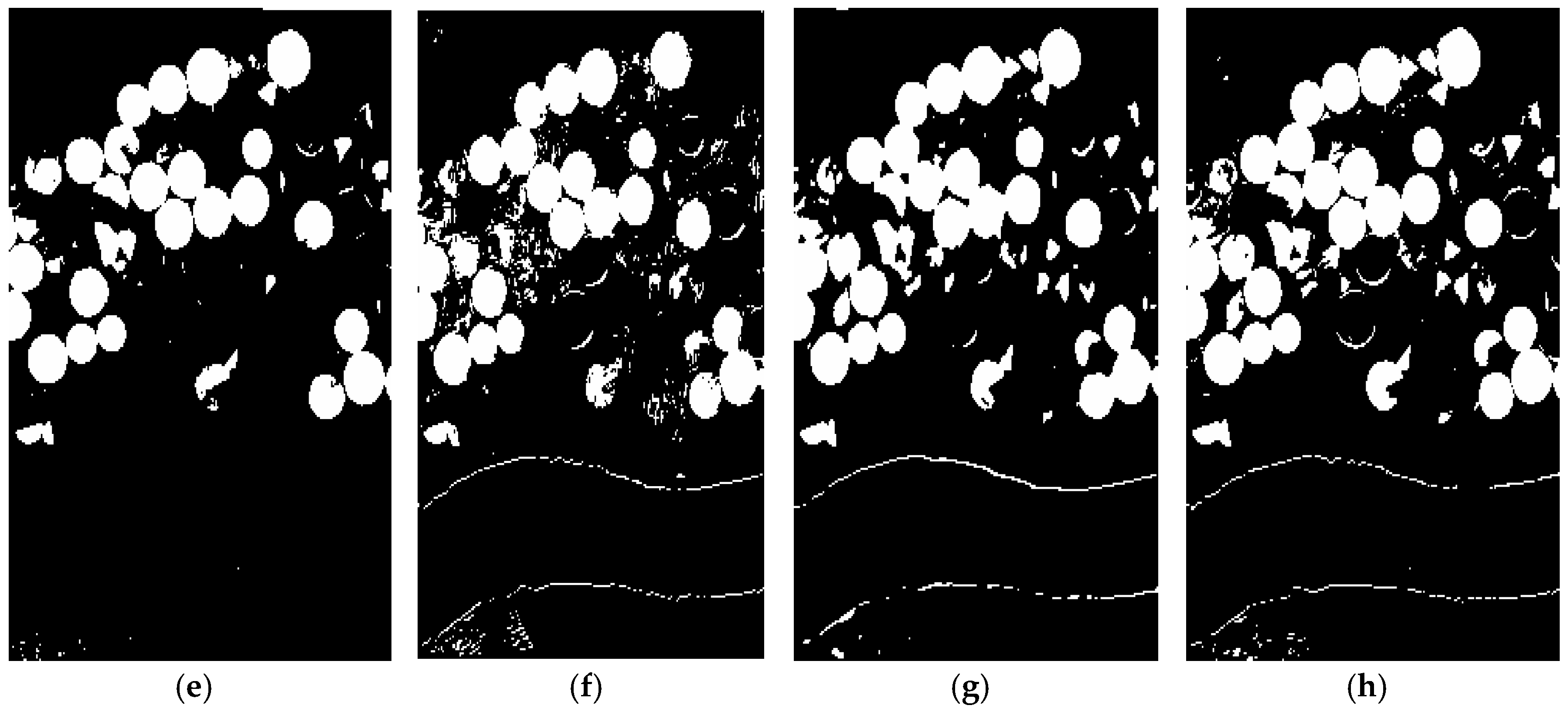 Remotesensing 12 02010 g018b