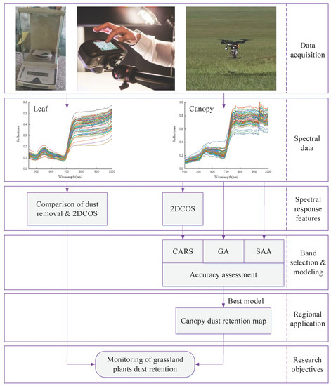 Study on Spectral Response and Estimation of Grassland