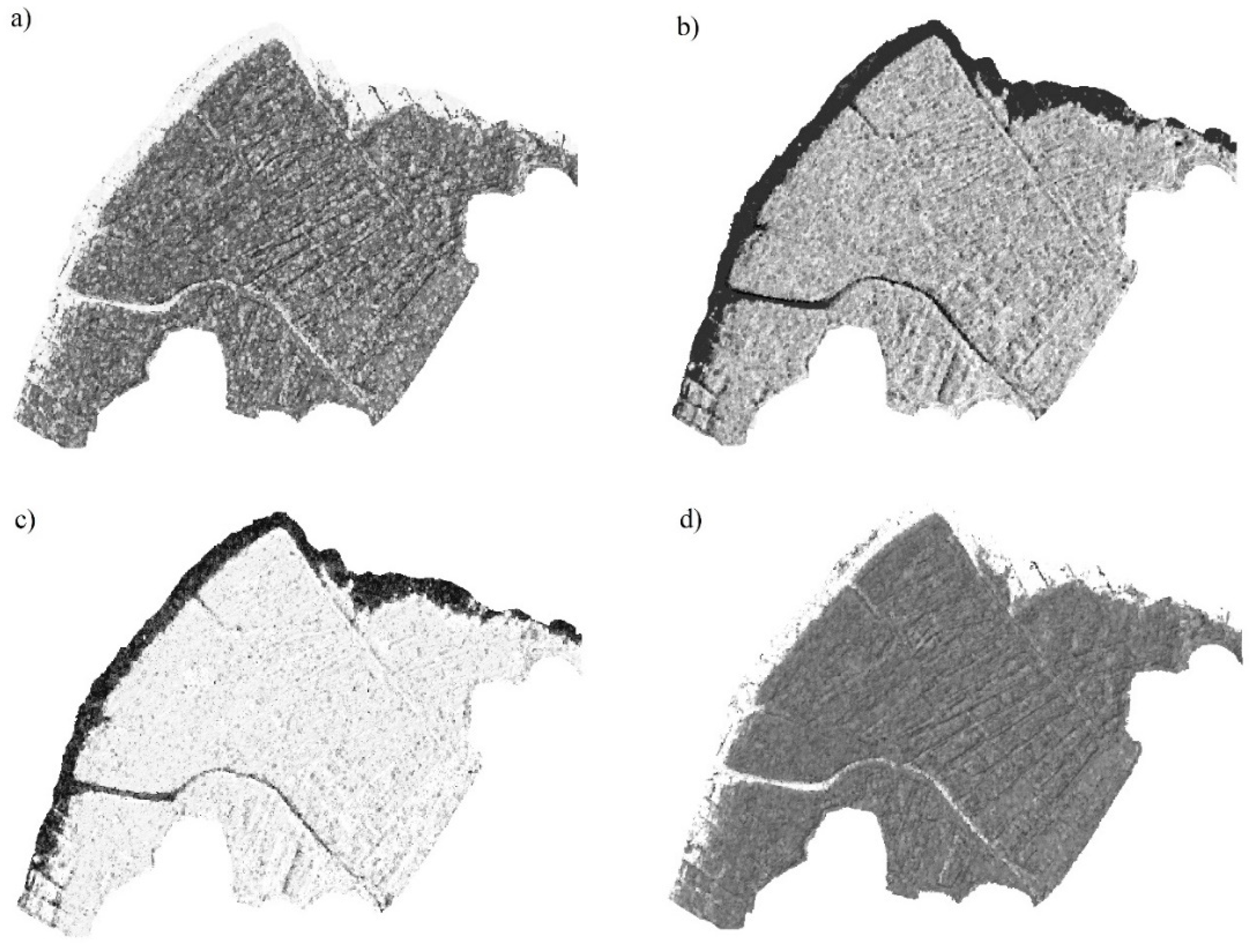 Remotesensing 12 02039 g002