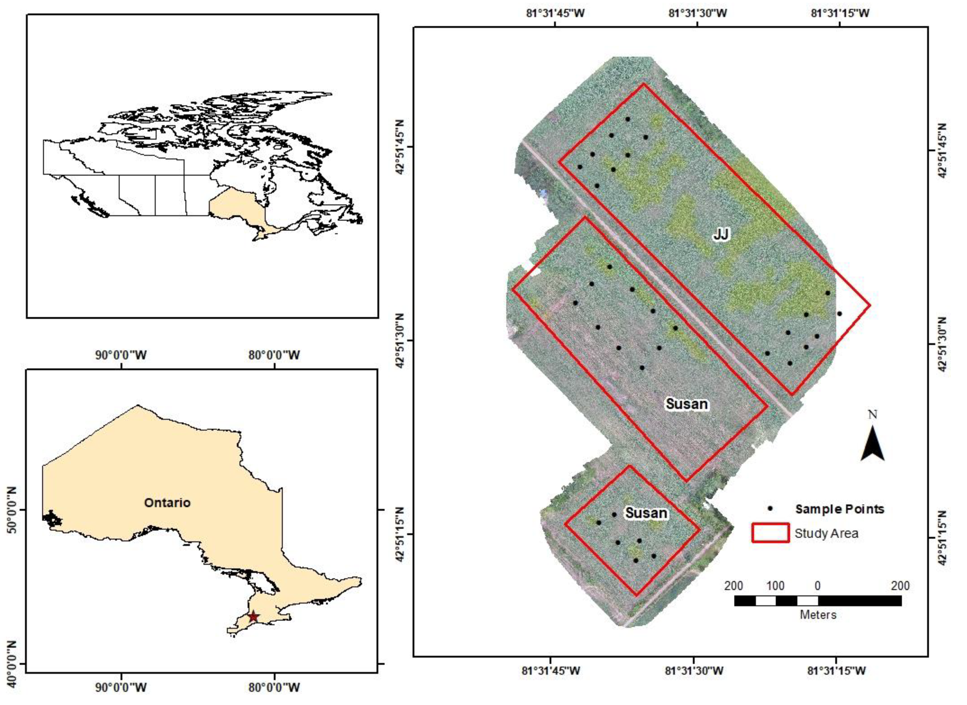 Remotesensing 12 02071 g001