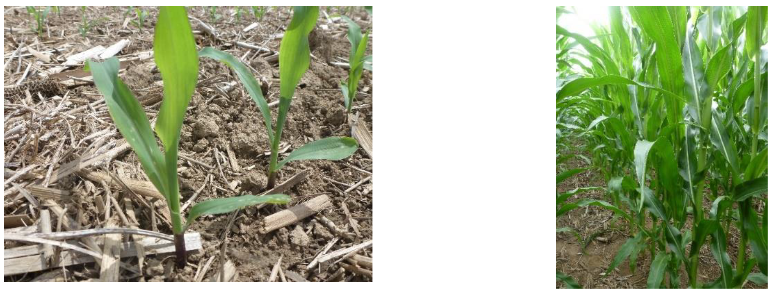 Remotesensing 12 02071 g002