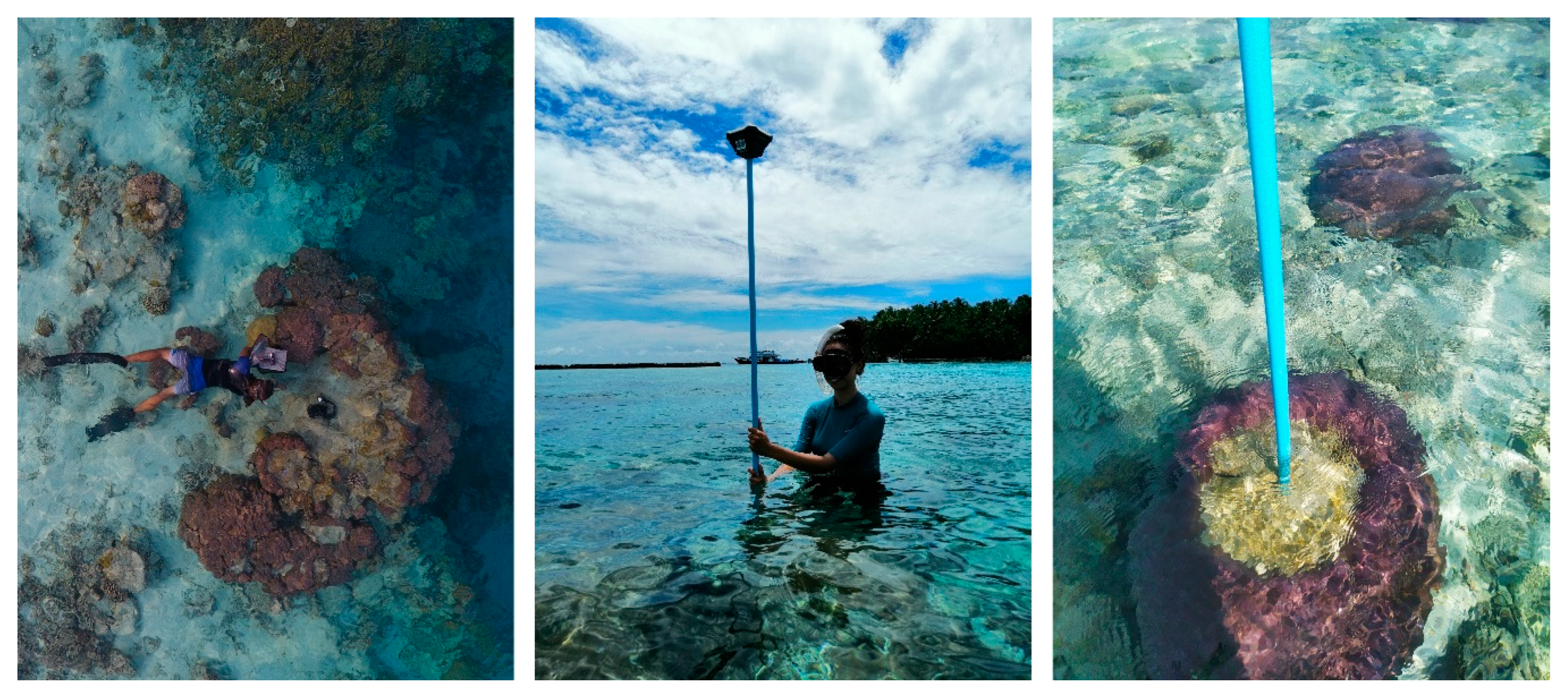 Remotesensing 12 02093 g003