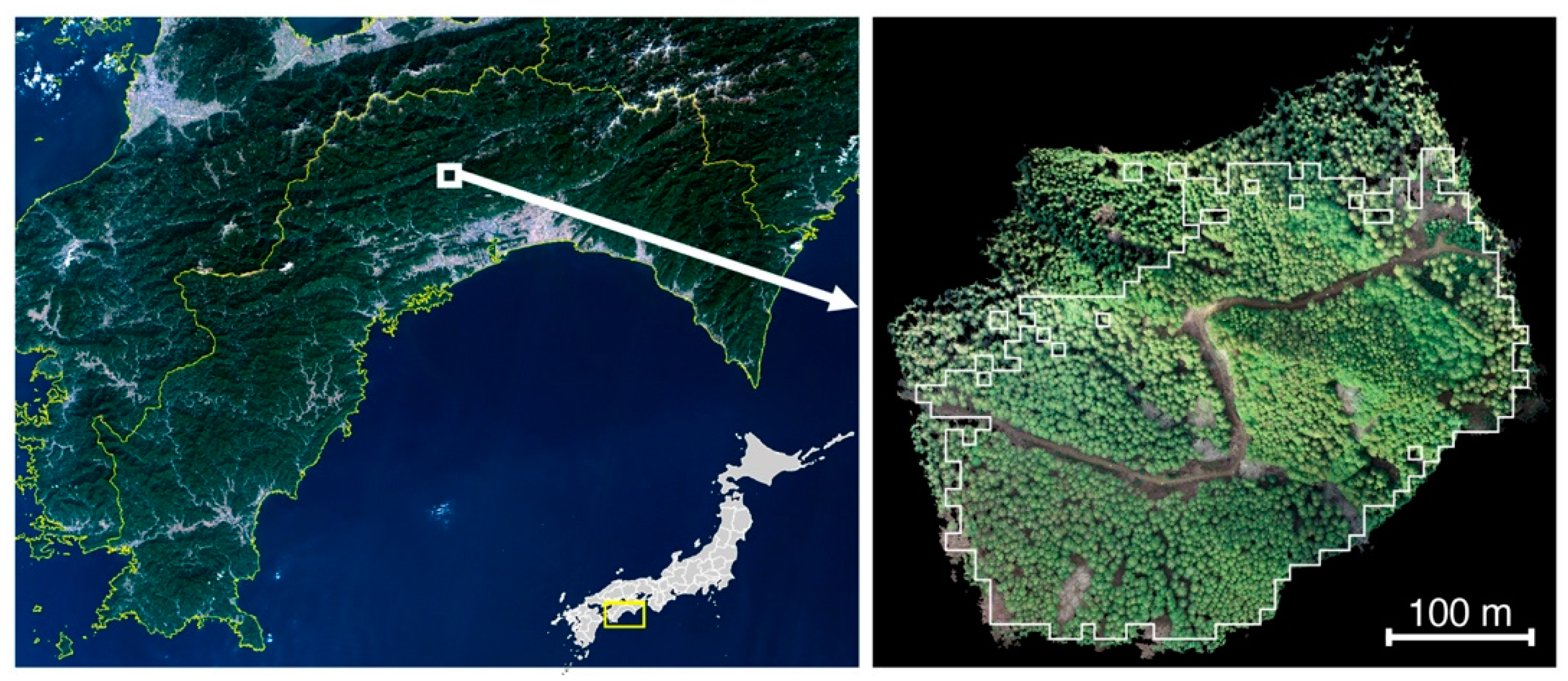 Remotesensing 12 02178 g001