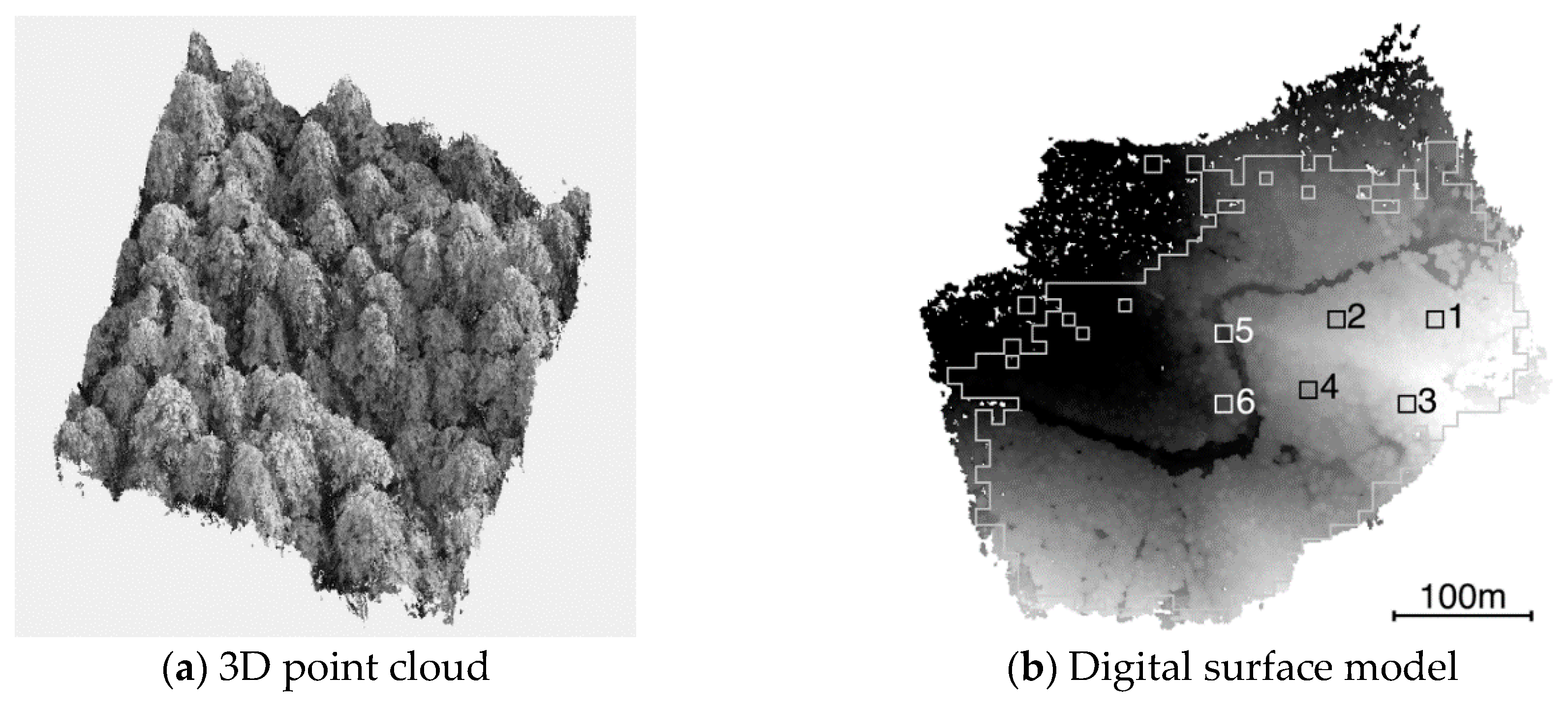 Remotesensing 12 02178 g005