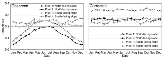 Correction of Canopy Shadow Effects on Reflectance in an Evergreen ...