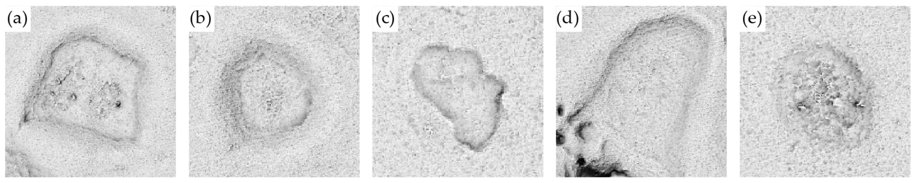 Remotesensing 12 02215 g006