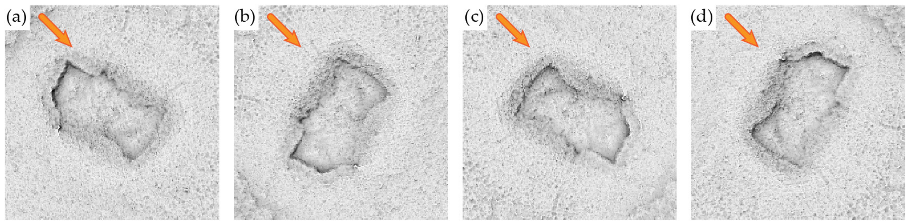 Remotesensing 12 02215 g009