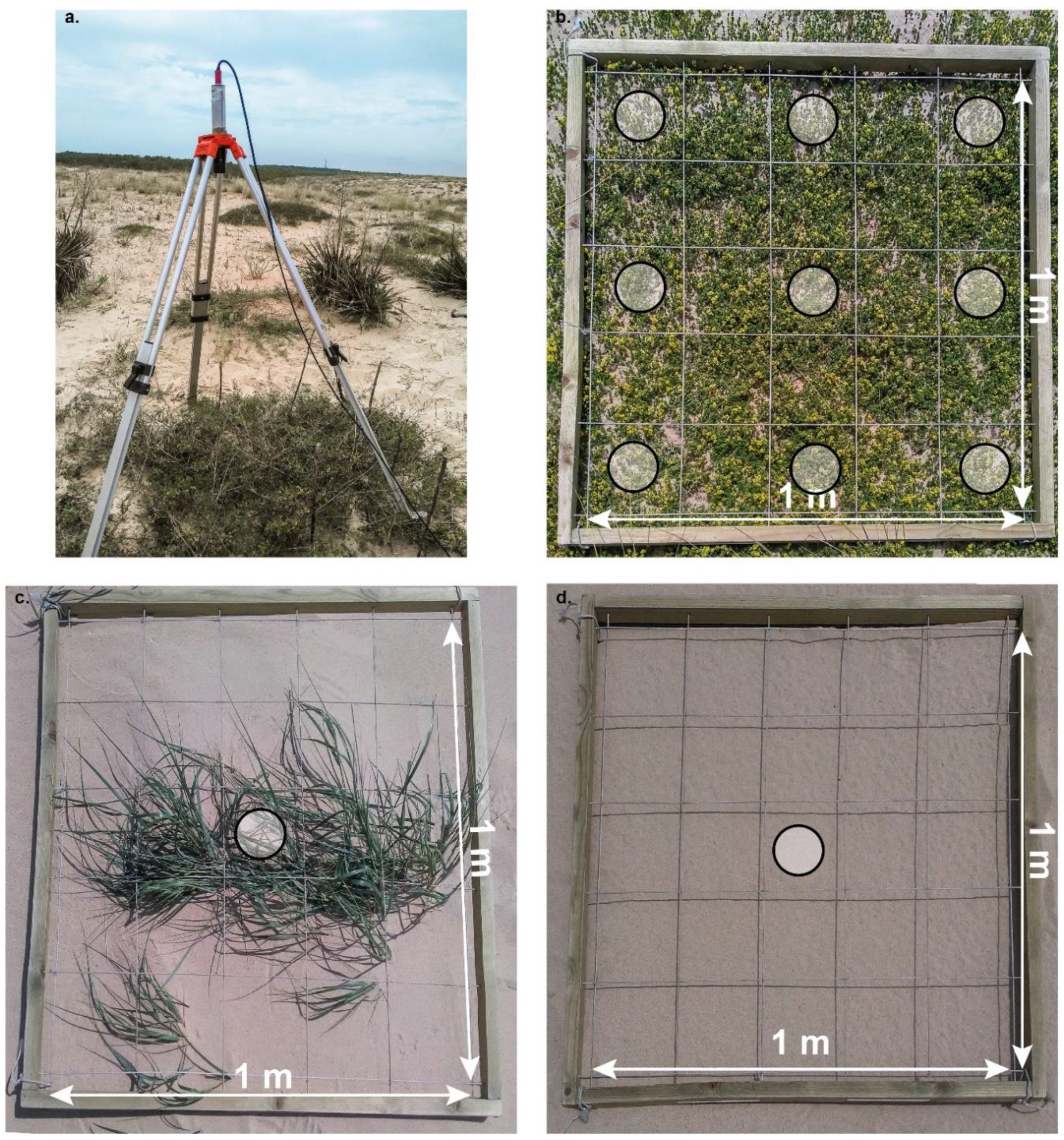 Remotesensing 12 02222 g003 Remotesensing 12 02222 g003