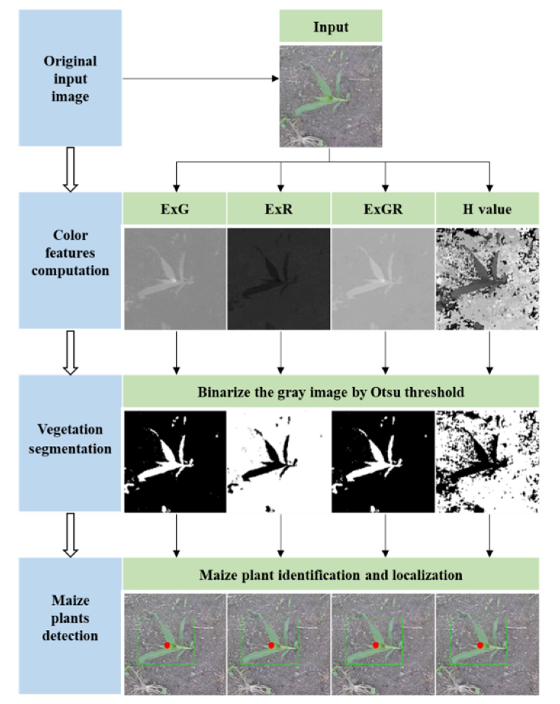 Application of Color Featuring and Deep Learning in Maize Plant Detection
